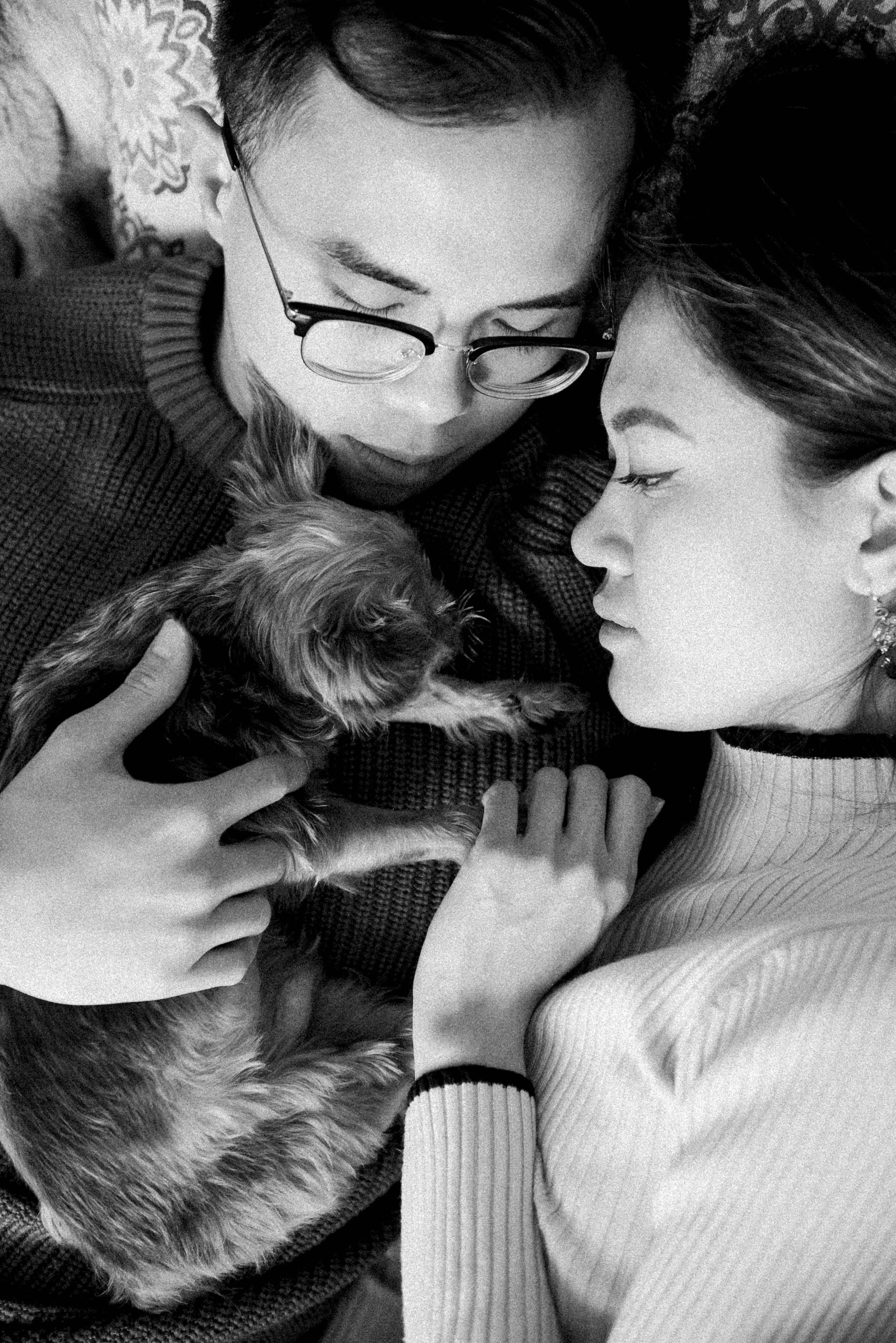 chicago-pet-maternity-newborn-photographer-courtney-laper-2023©CopyrightCMP-65.jpg
