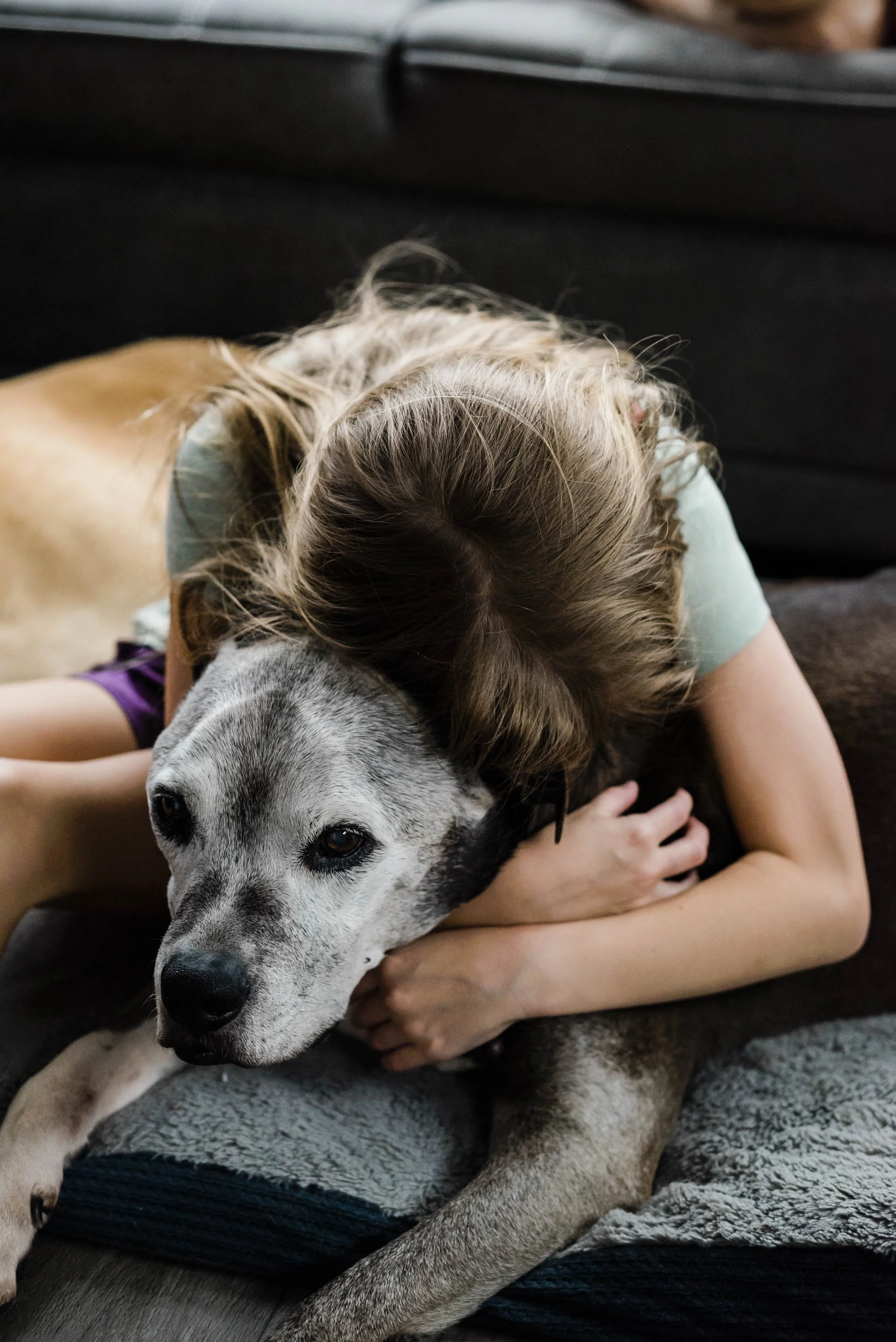 chicago-pet-maternity-newborn-photographer-courtney-laper-2023©CopyrightCMP-2350.jpg
