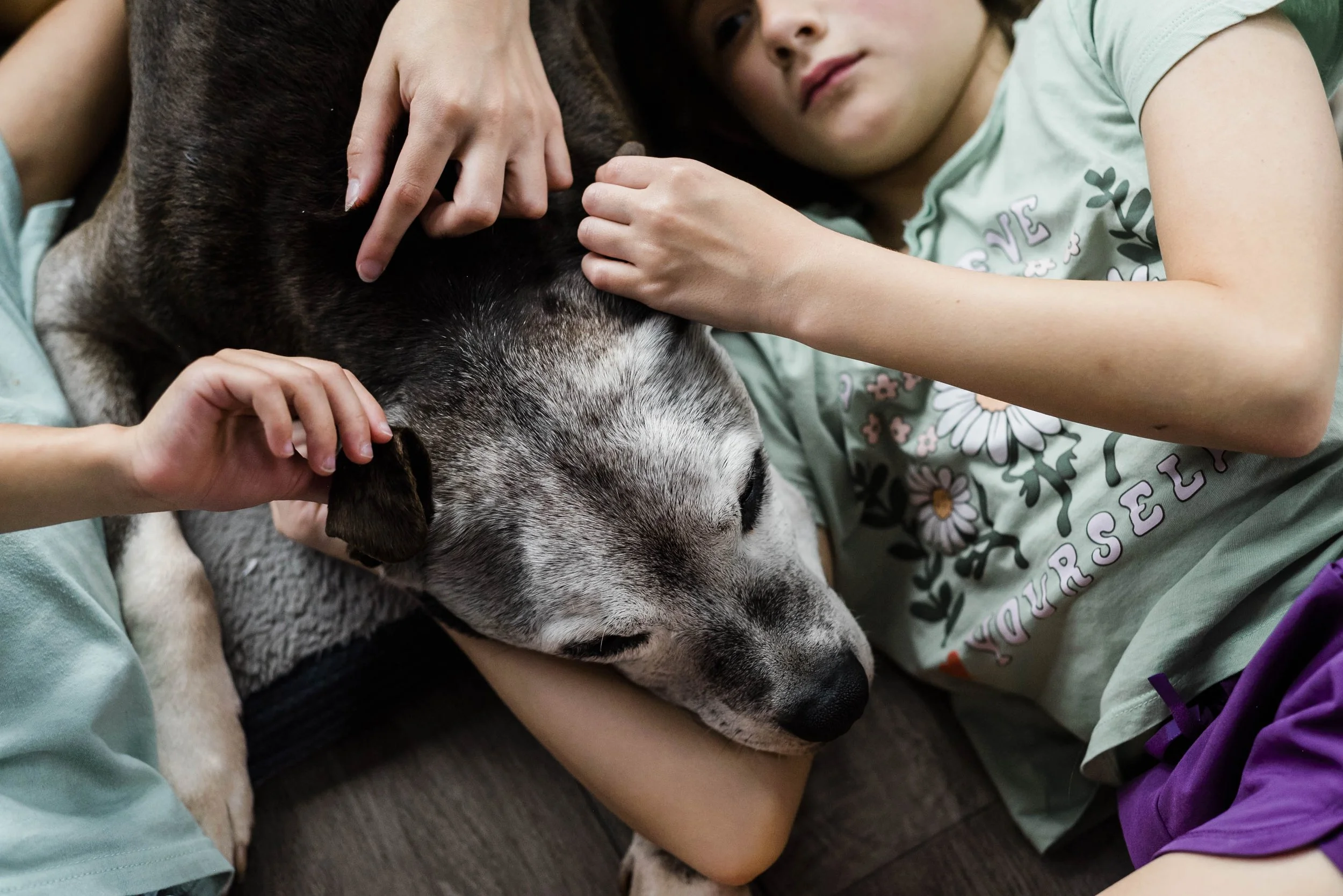 chicago-pet-maternity-newborn-photographer-courtney-laper-2023©CopyrightCMP-2419.jpg