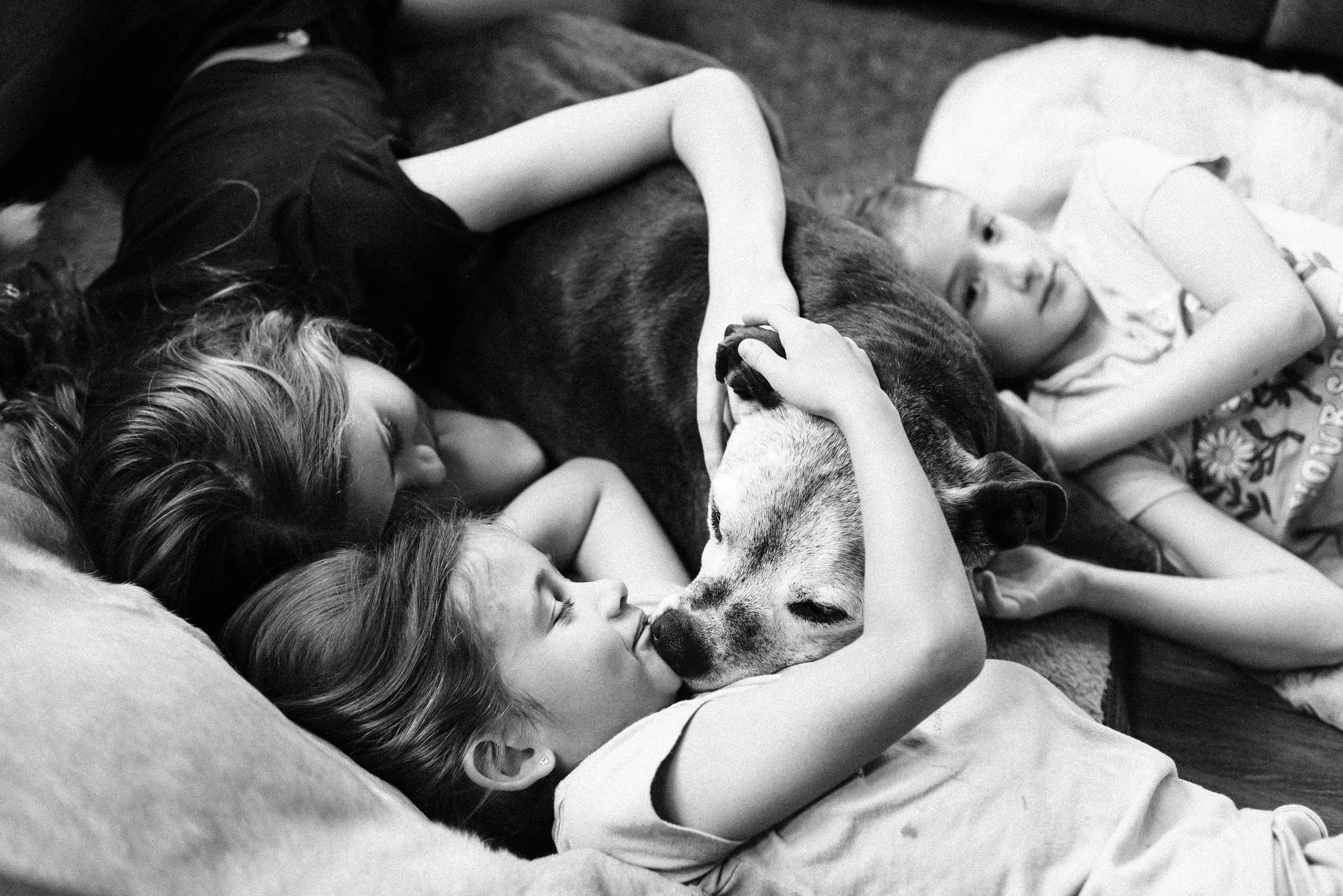chicago-pet-maternity-newborn-photographer-courtney-laper-2023©CopyrightCMP-2434.jpg