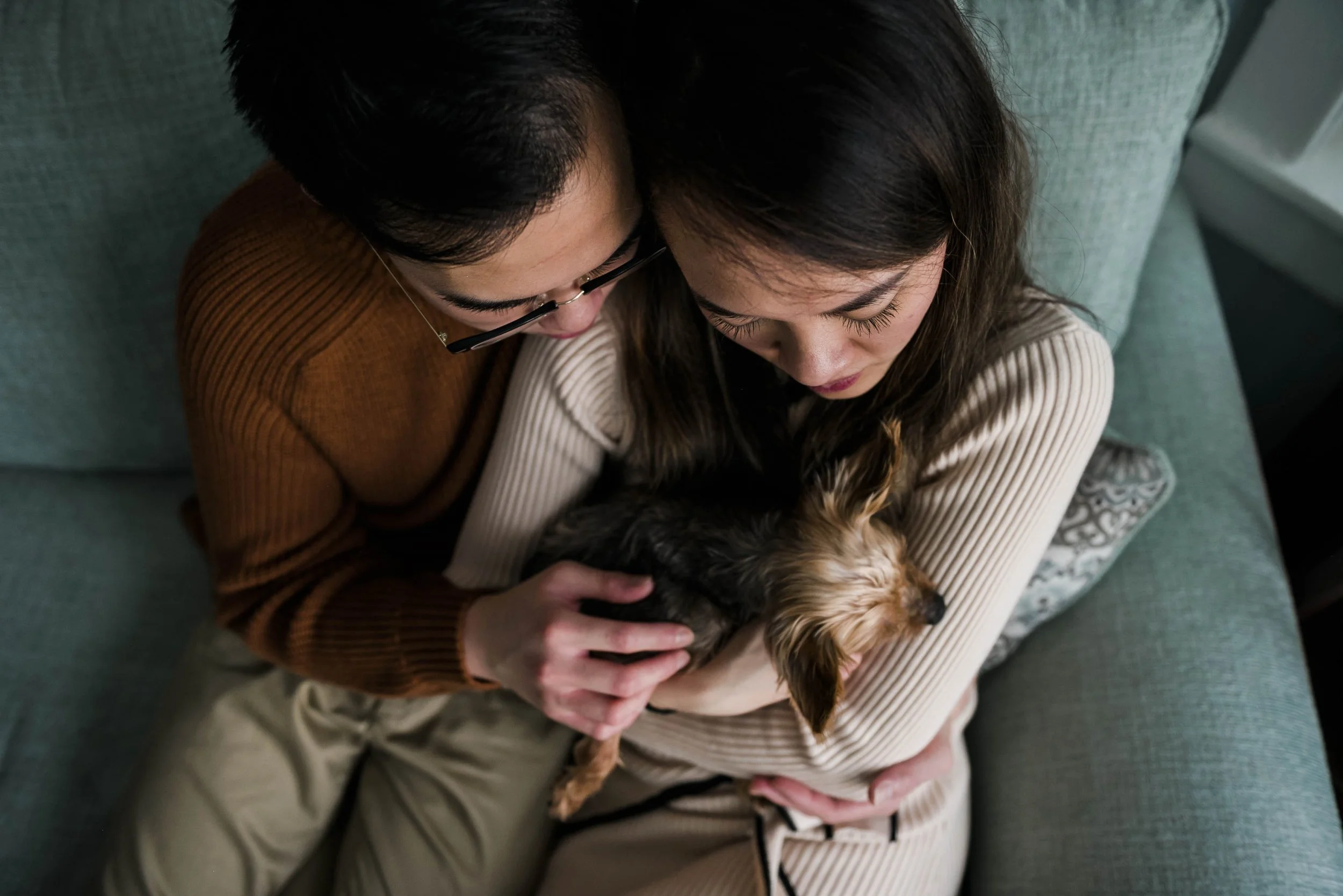 chicago-pet-maternity-newborn-photographer-courtney-laper-2023©CopyrightCMP-53.jpg
