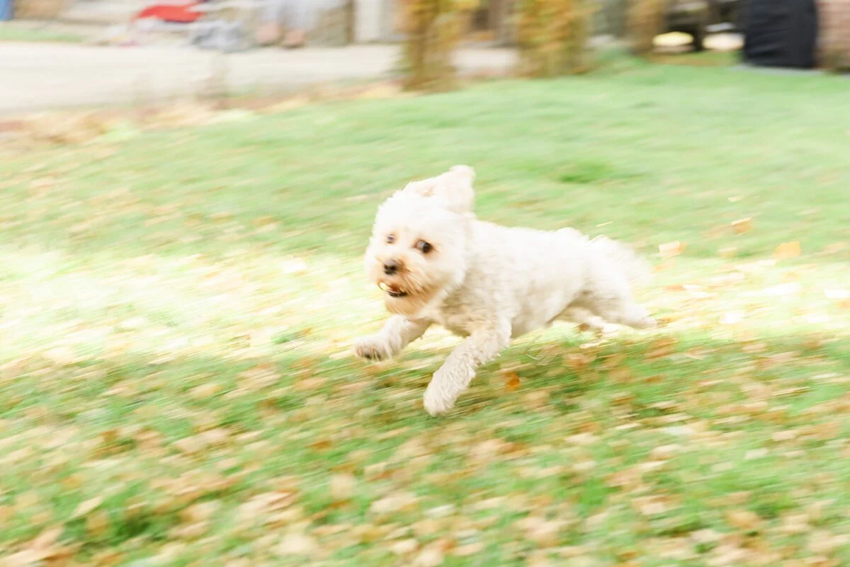 ©COPYRIGHTCMP2020-MAE-20201108-0361-43.jpeg