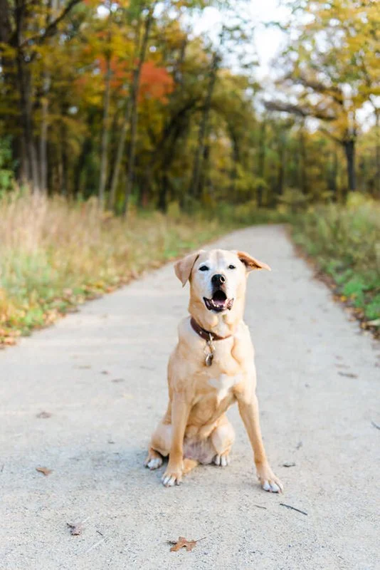 ©COPYRIGHTCMP2020-Nala-20201010-40.jpeg