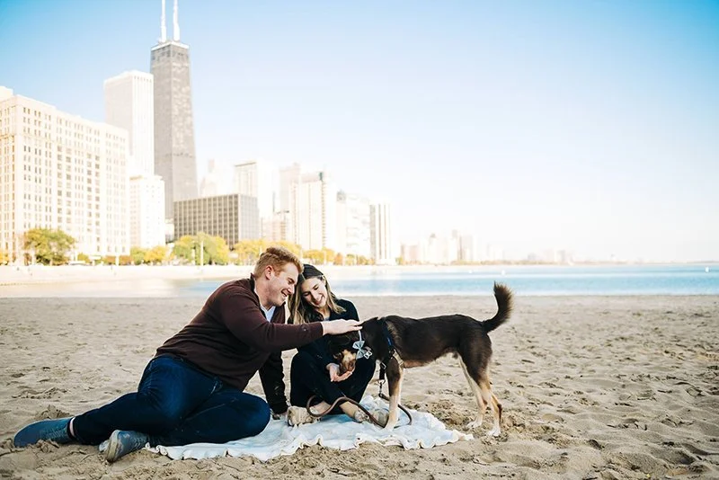 chicago-pet-photographer-courtney-laper©COPYRIGHTCMP2022-73.jpeg