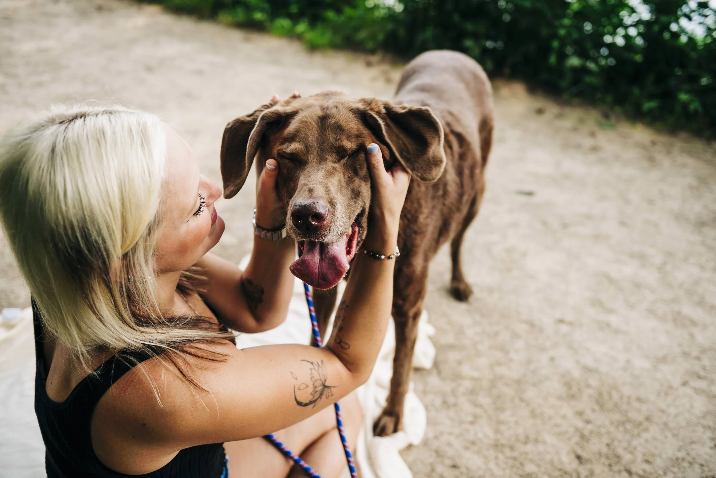 chicago-and-madison-pet-photographer-courtney-laper-2025©CopyrightCLP-43.jpg