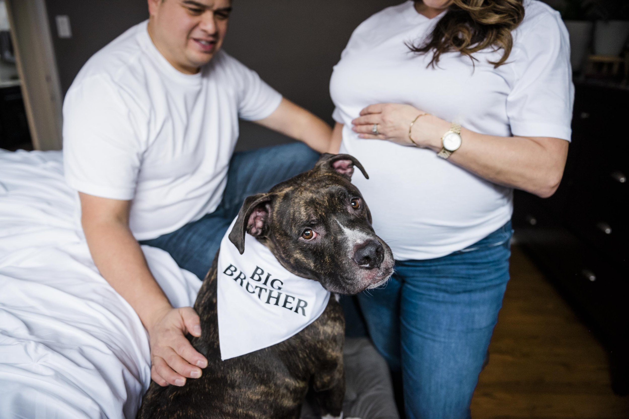 chicago-pet-maternity-newborn-photographer-courtney-laper-2025©CopyrightCLP-25.jpg