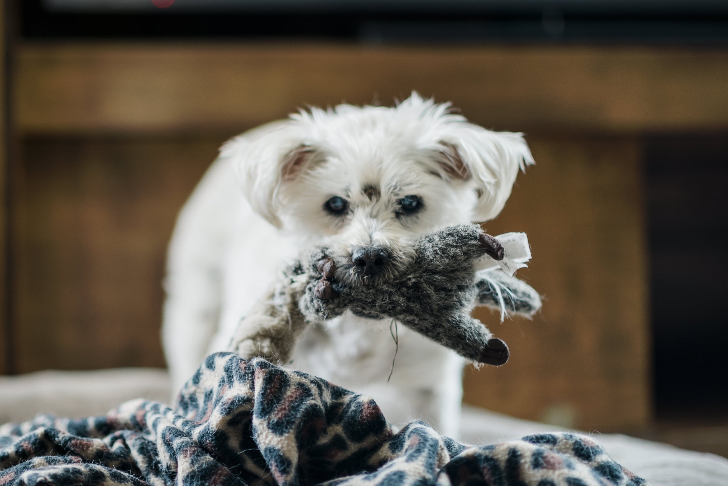 Finality and Saying Goodbye