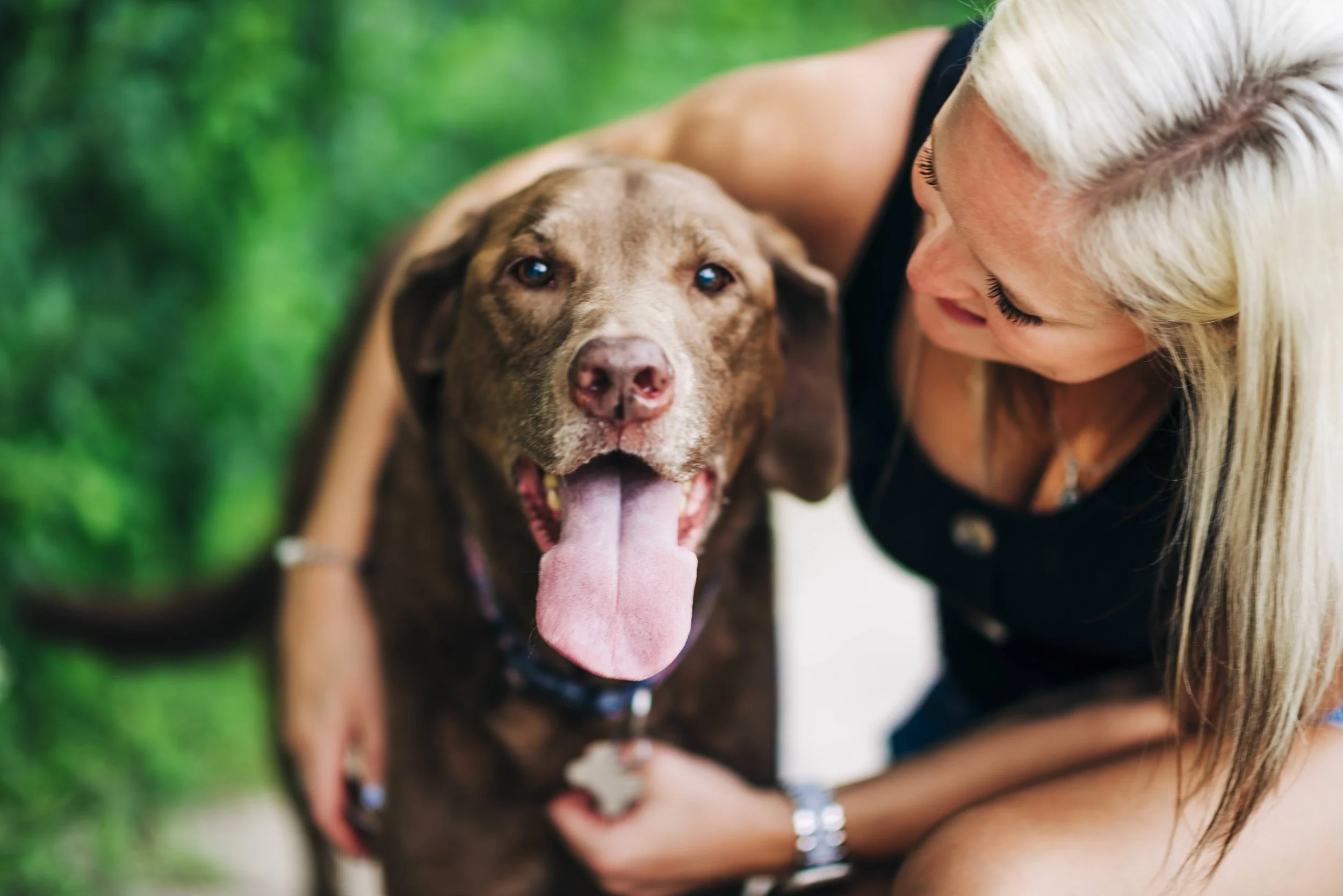 chicago-and-madison-pet-photographer-courtney-laper-2025©CopyrightCLP-31.jpg