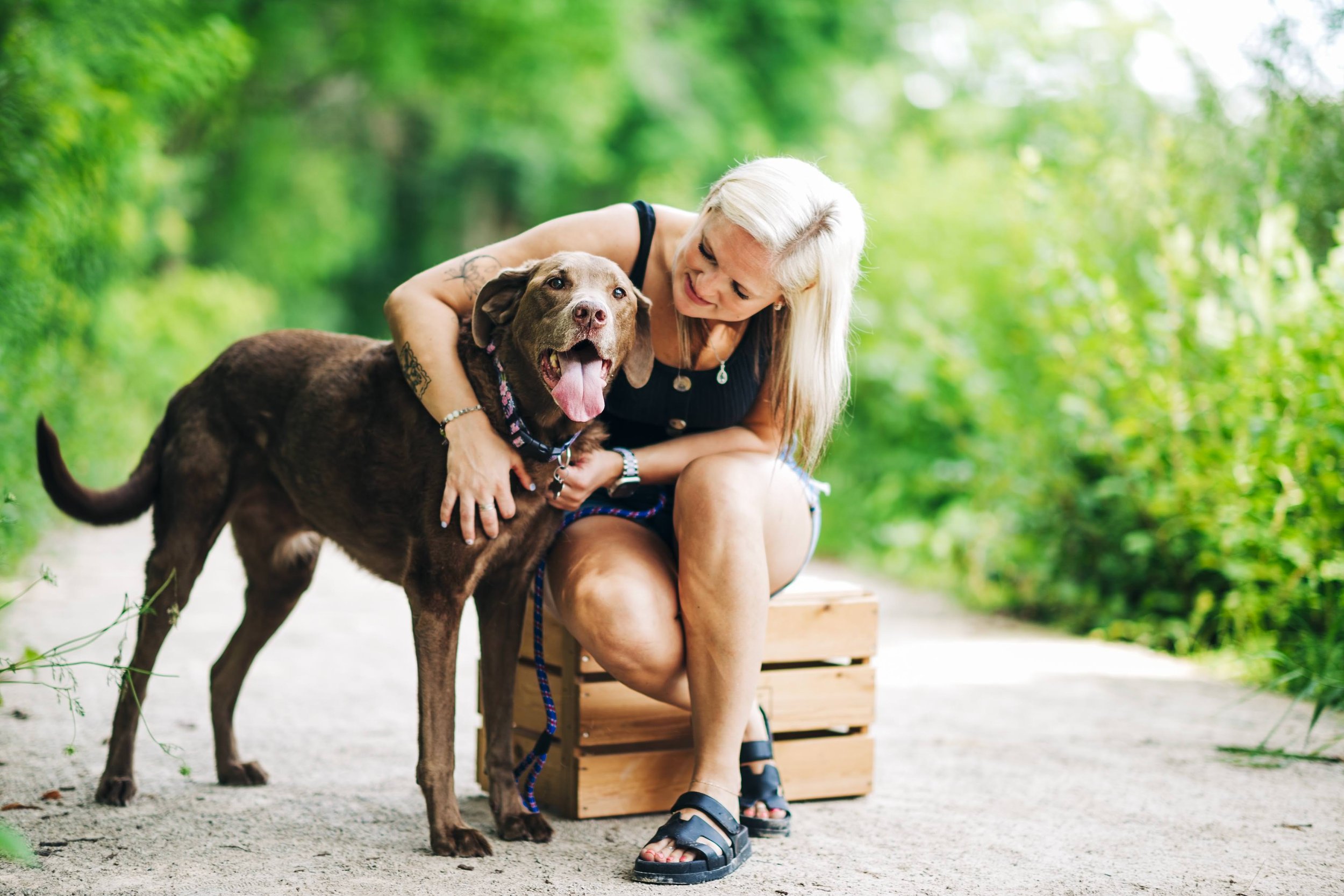 chicago-and-madison-pet-photographer-courtney-laper-2025©CopyrightCLP-23.jpg