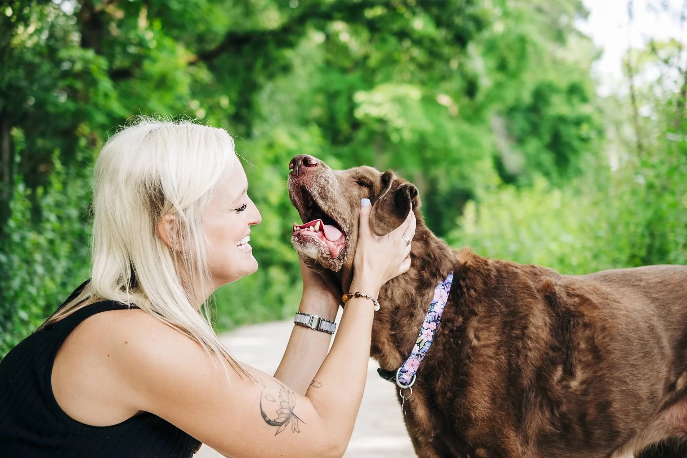chicago-and-madison-pet-photographer-courtney-laper-2025©CopyrightCLP-85.jpg
