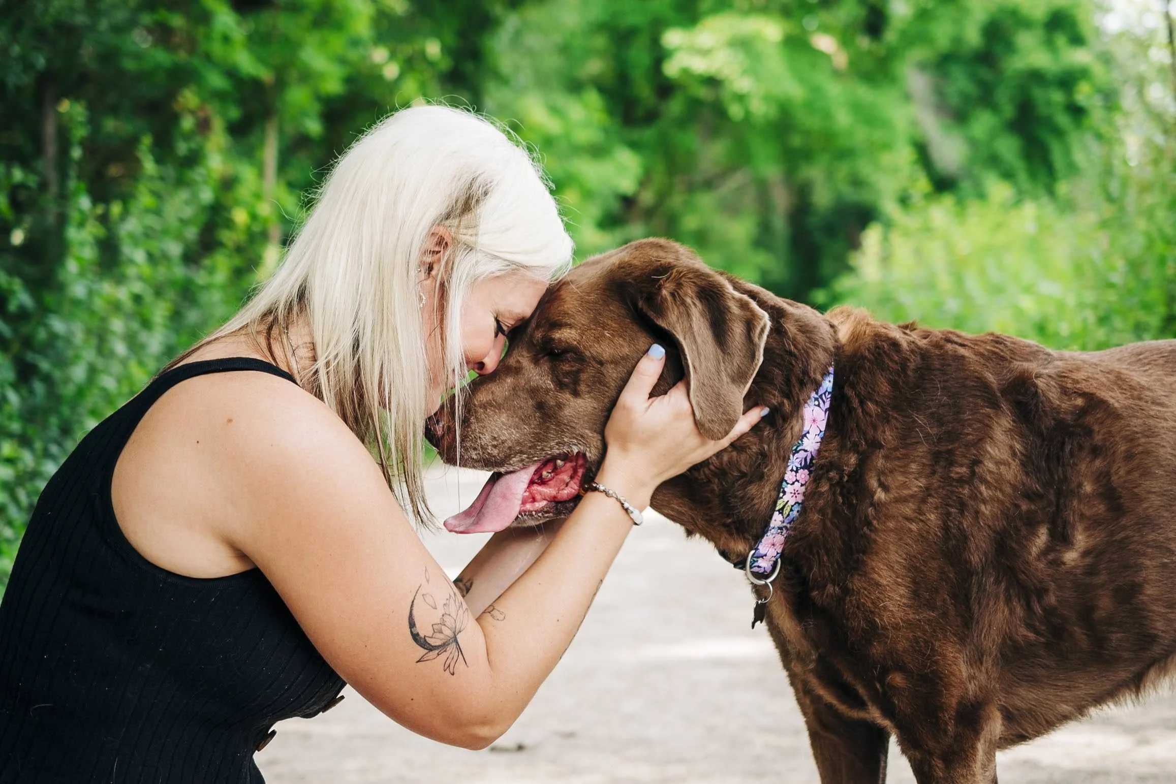 chicago-and-madison-pet-photographer-courtney-laper-2025©CopyrightCLP-88.jpg