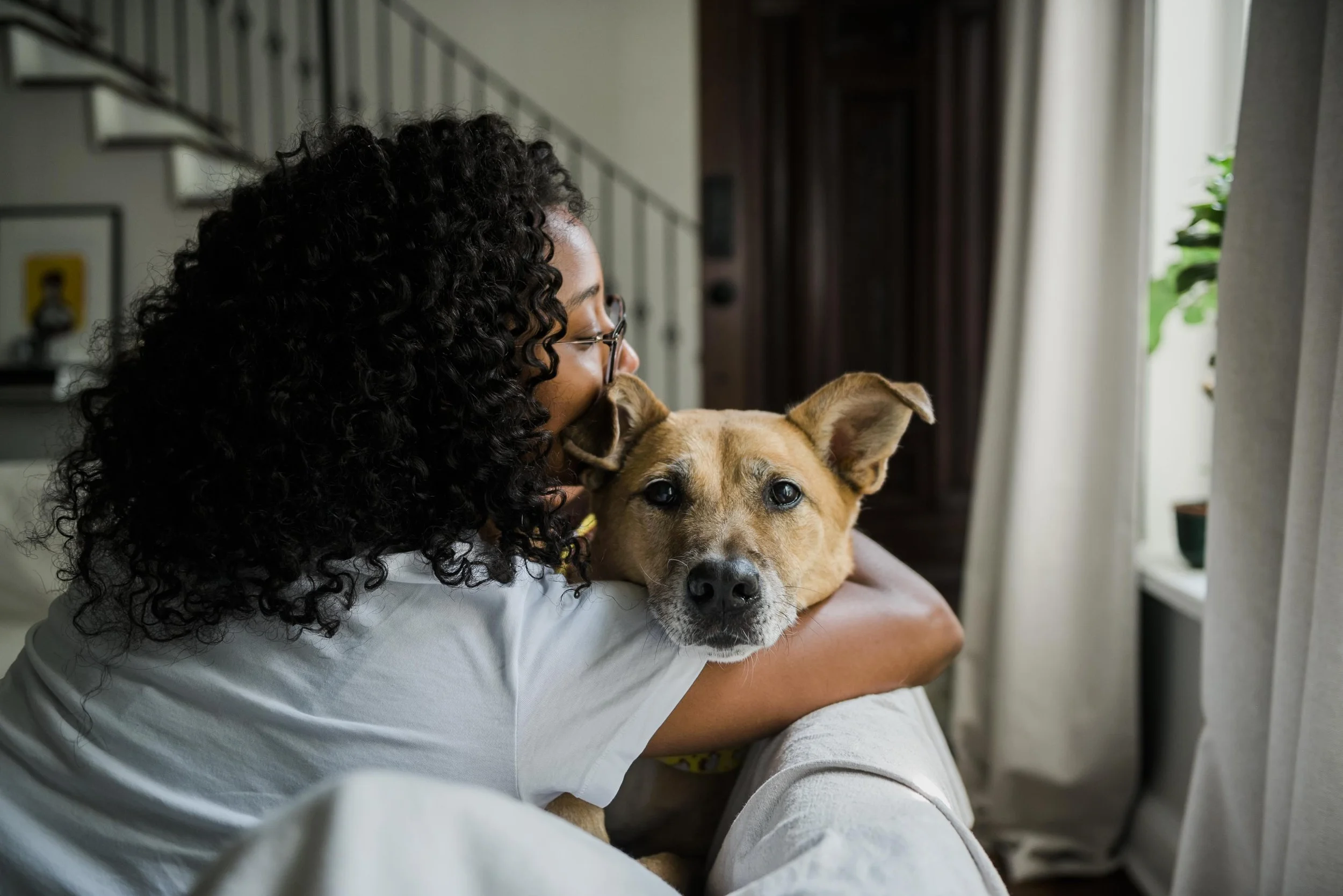 chicago-pet-maternity-newborn-photographer-courtney-laper-2025©CopyrightCLP-3288.jpg