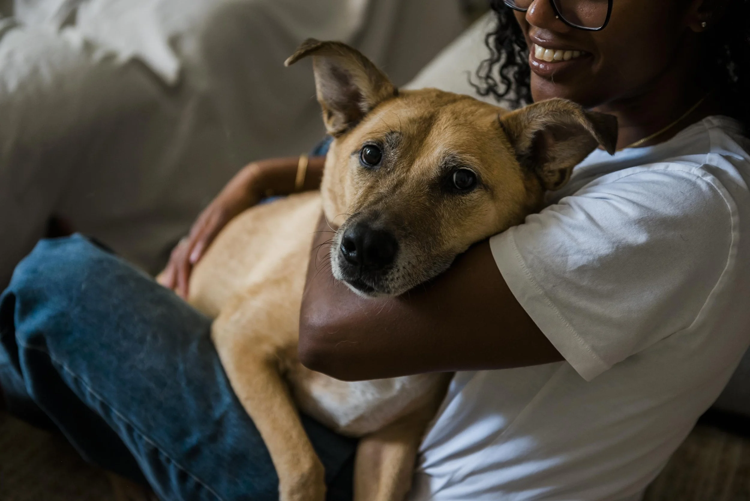chicago-pet-maternity-newborn-photographer-courtney-laper-2025©CopyrightCLP-3369.jpg