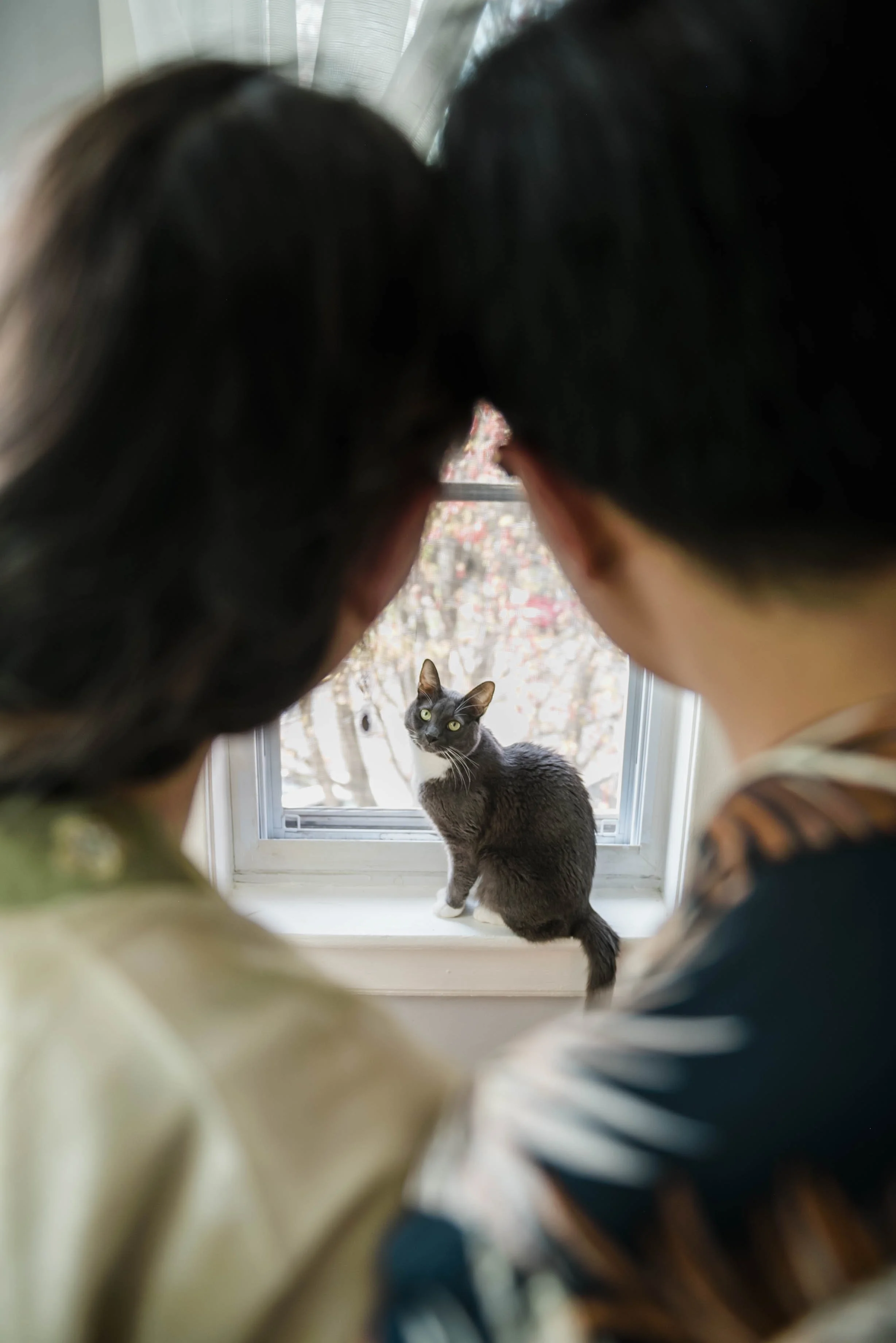 chicago-and-madison-pet-photographer-courtney-laper-2025©CopyrightCLP-299.jpg
