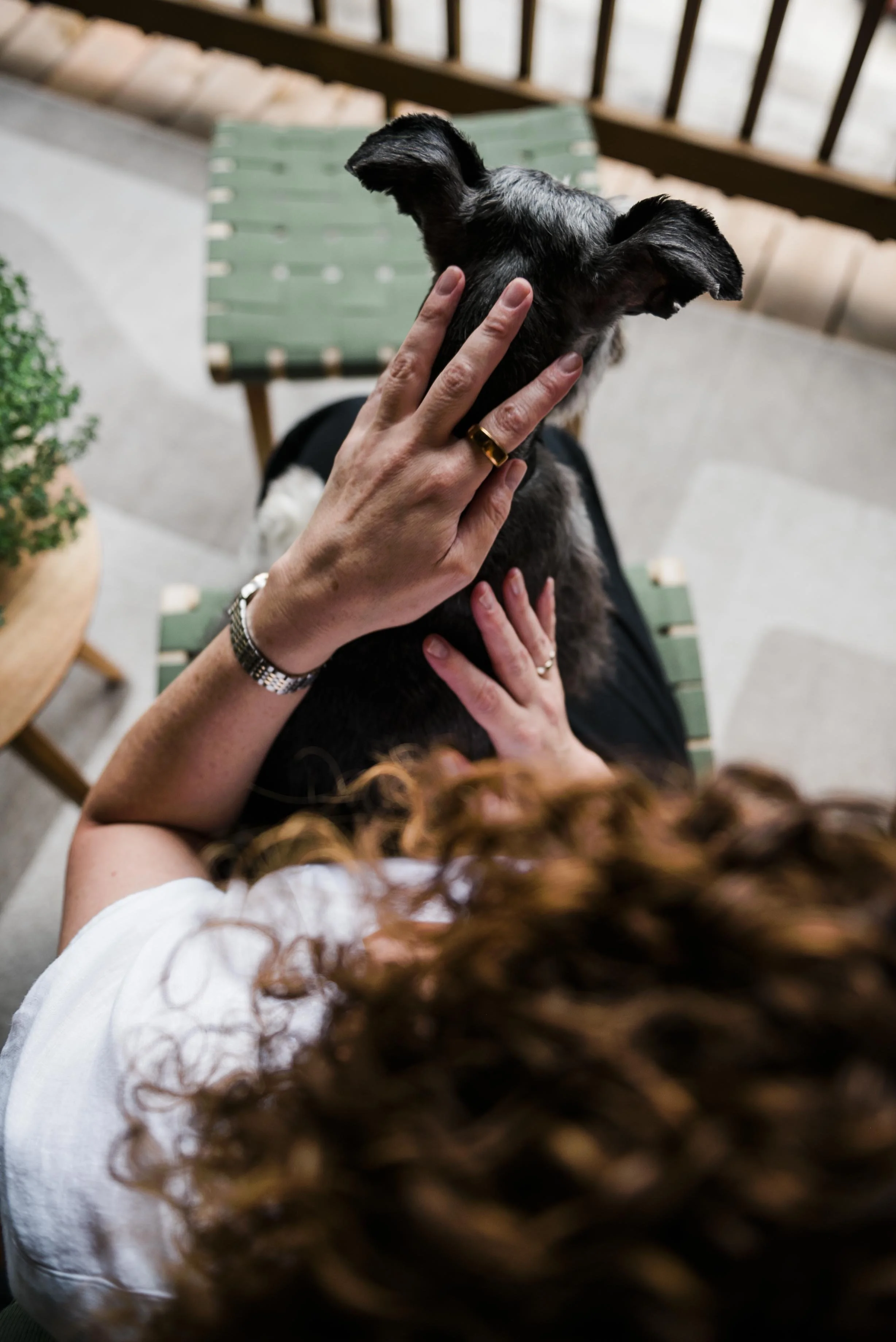 chicago-pet-maternity-newborn-photographer-courtney-laper-2025©CopyrightCLP-46.jpg