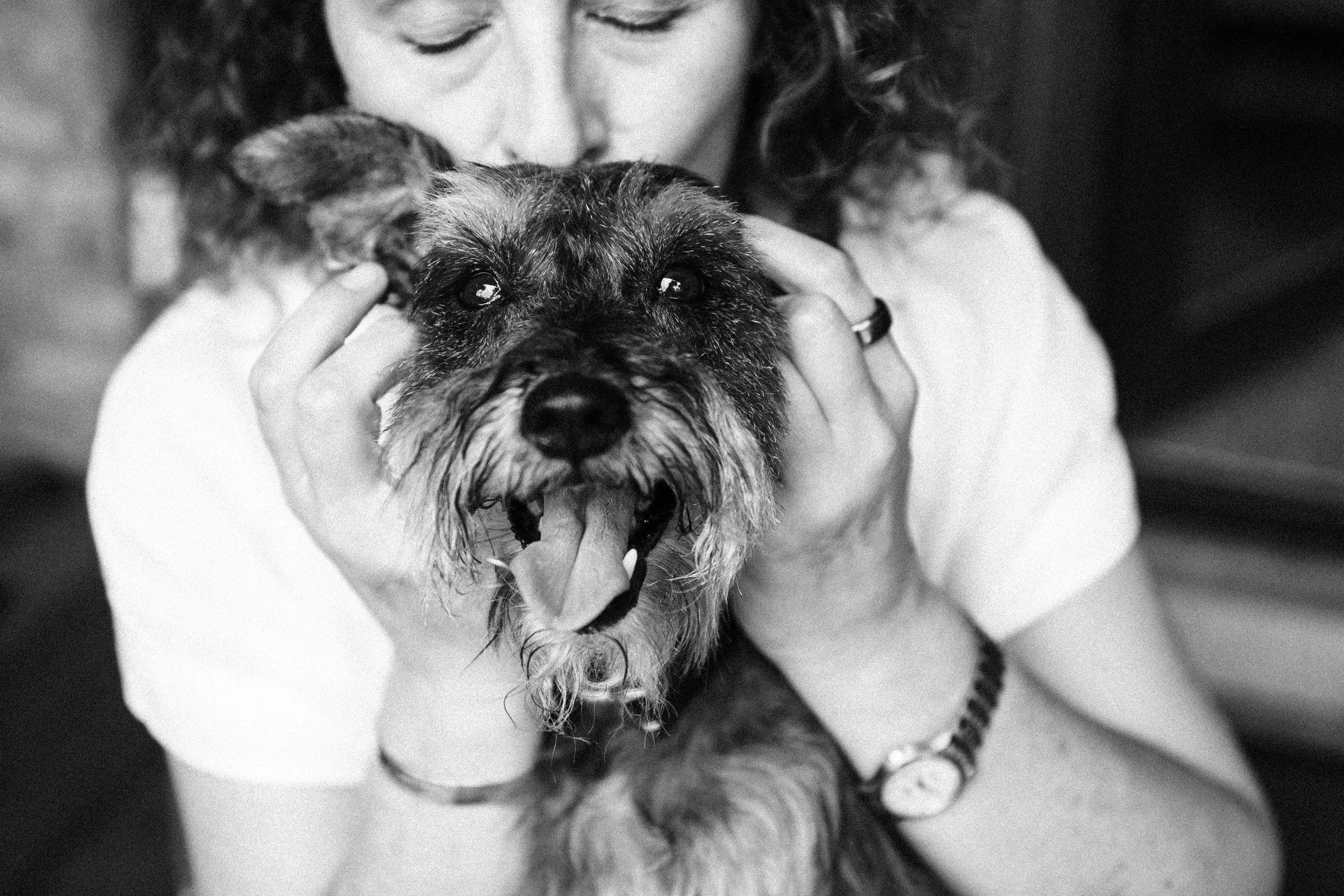 chicago-pet-maternity-newborn-photographer-courtney-laper-2025©CopyrightCLP-45.jpg