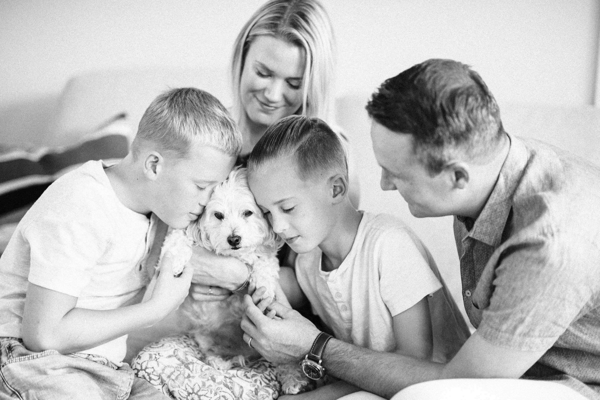 chicago-pet-maternity-newborn-photographer-courtney-laper-2025©CopyrightCLP-50.jpg