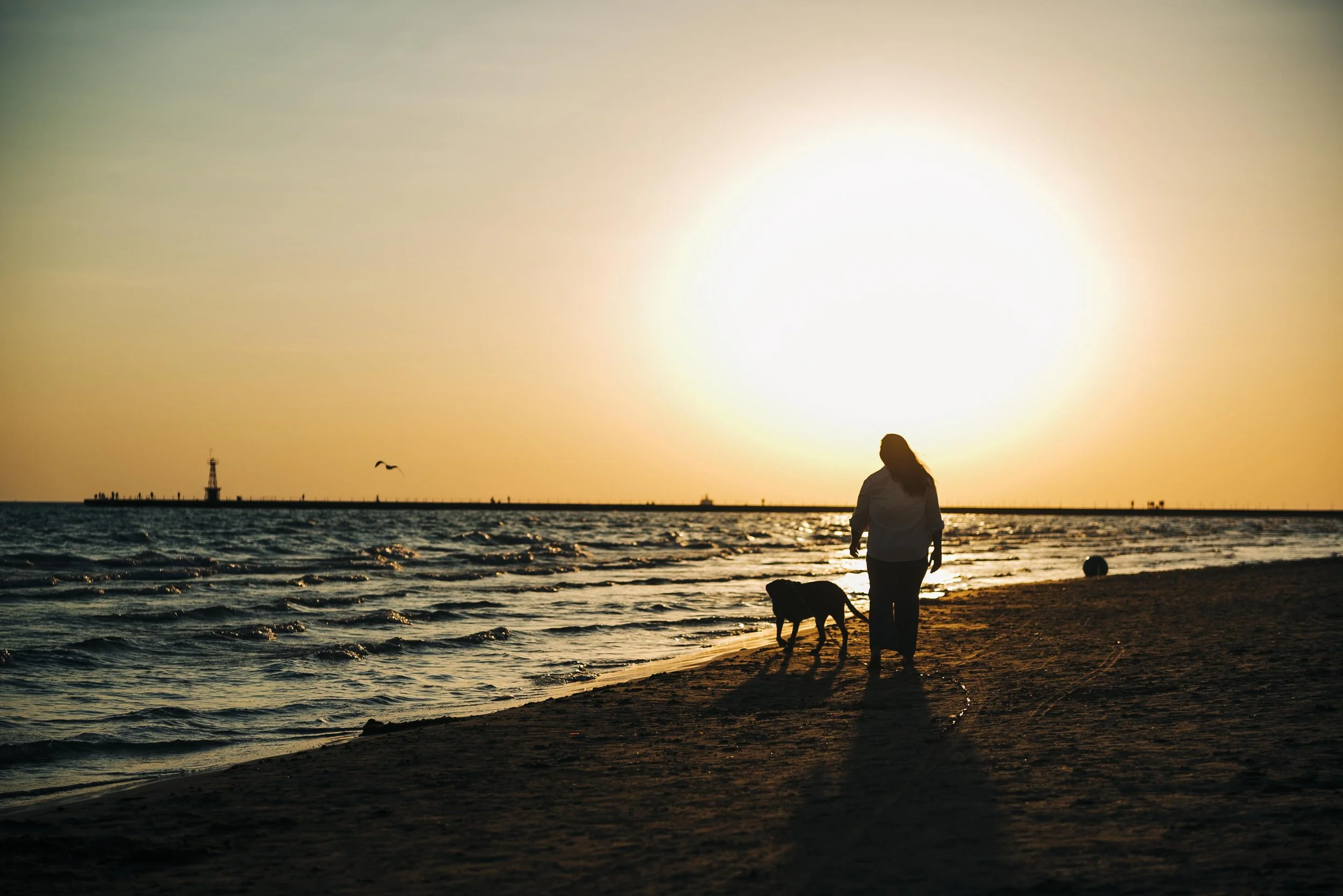 chicago-pet-maternity-newborn-photographer-courtney-laper-2025©CopyrightCLP-70.jpg