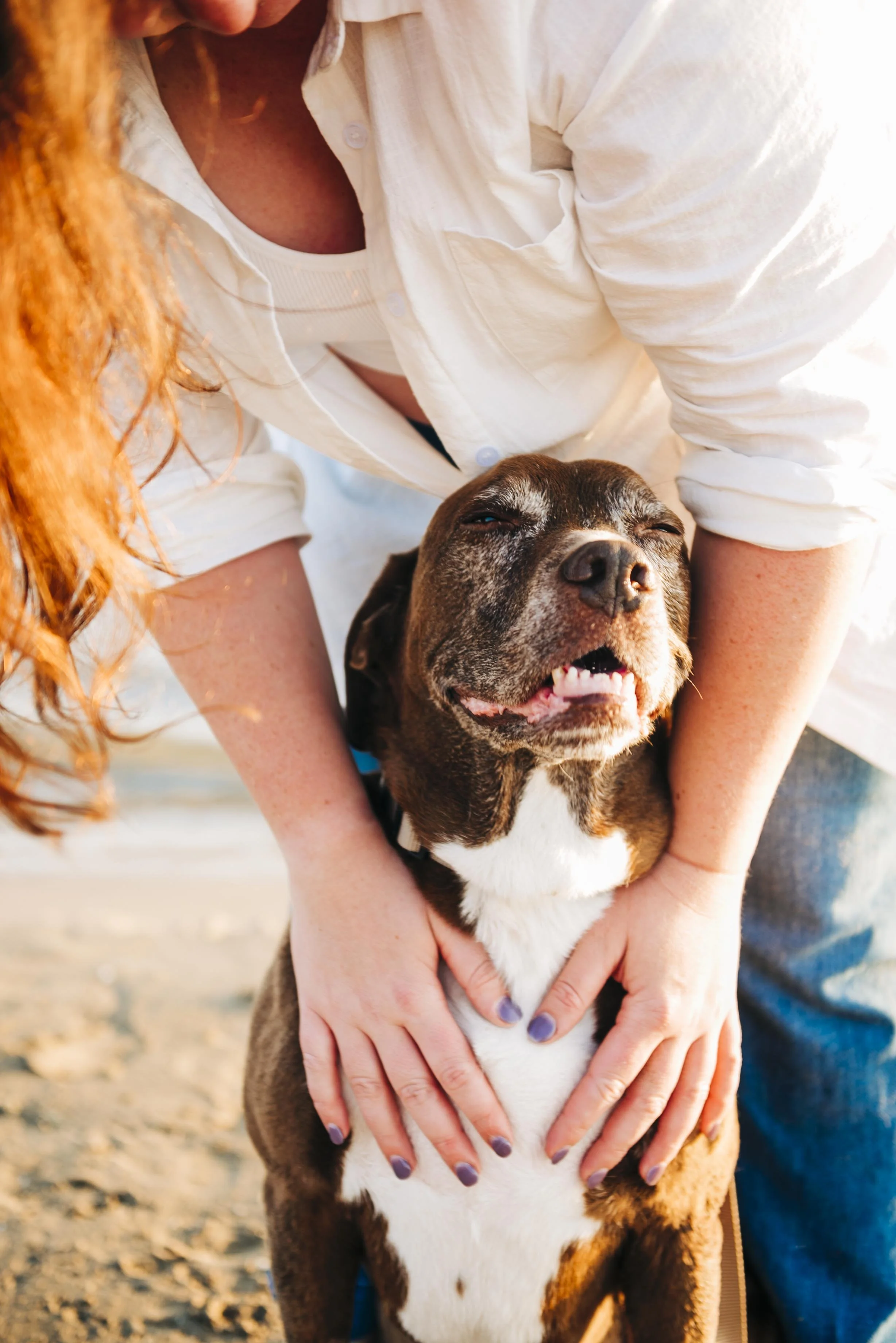 chicago-pet-maternity-newborn-photographer-courtney-laper-2025©CopyrightCLP-124.jpg
