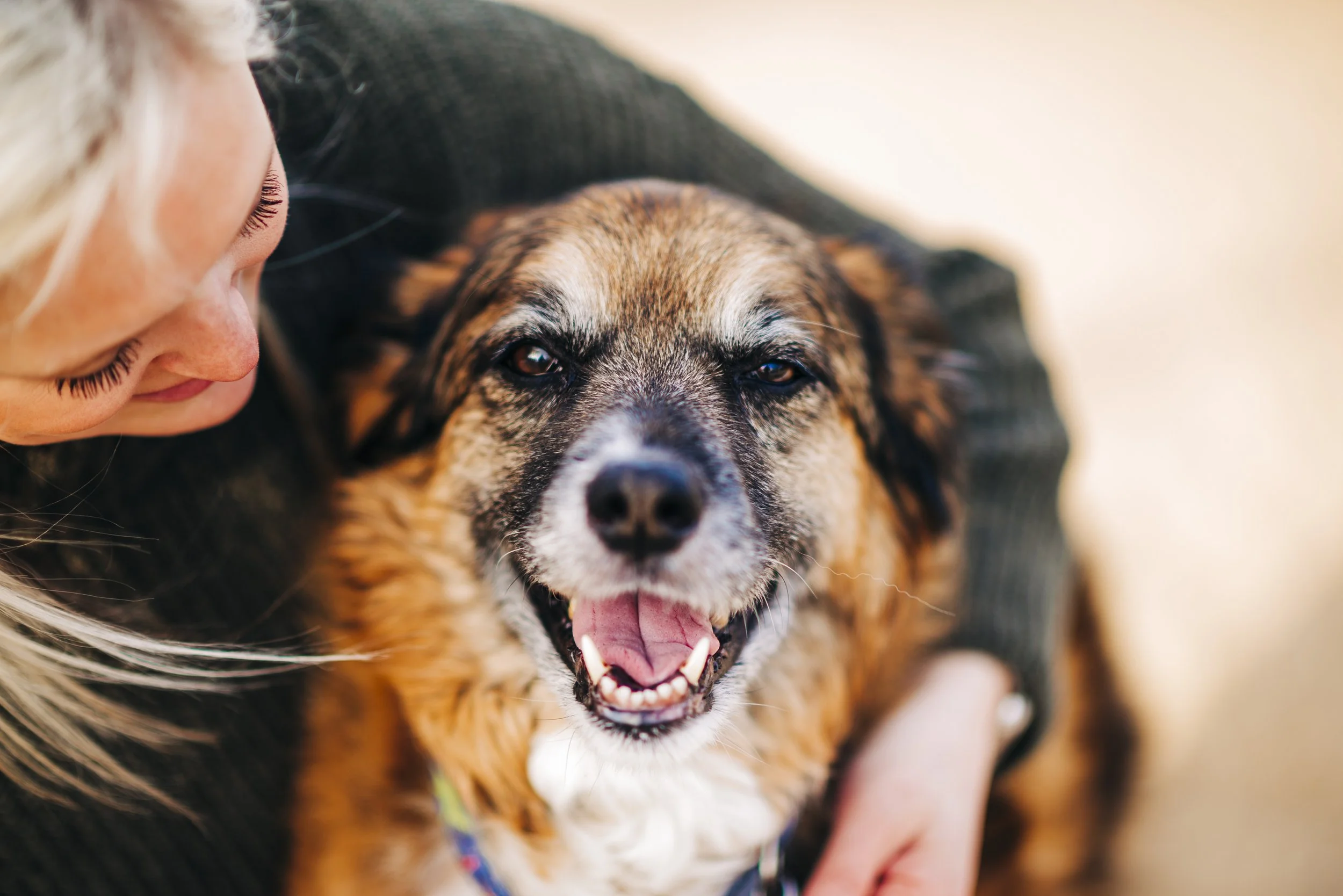 chicago-end-of-life-pet-photography©Copyright2026CourtneyLaperPhotography-CLP3.jpg