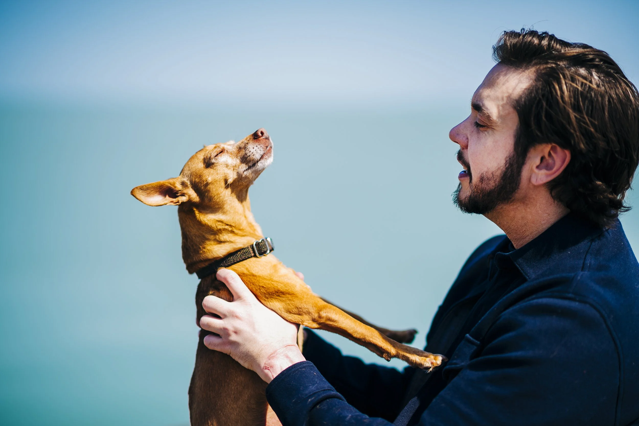 chicago-end-of-life-pet-photography©Copyright2026CourtneyLaperPhotography-CLP6.jpg