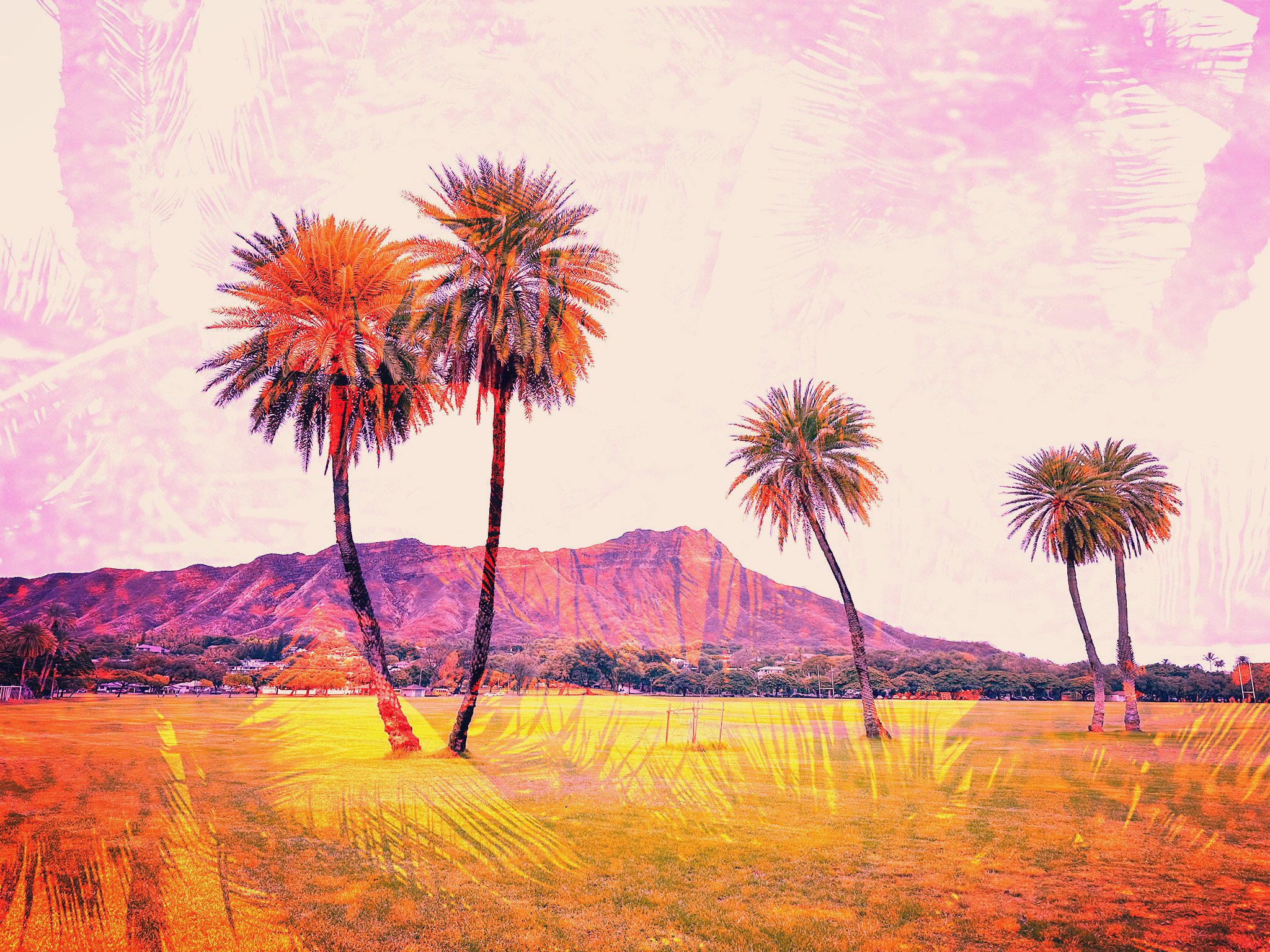WaikikiParadise-3.jpg