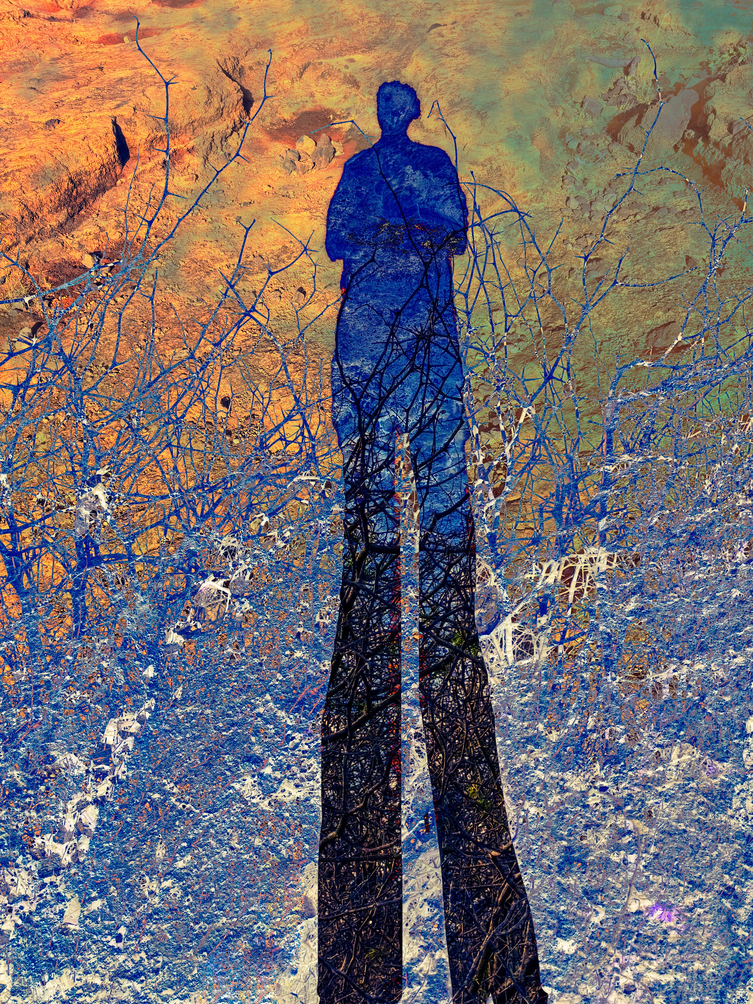 shadowself-1.jpg