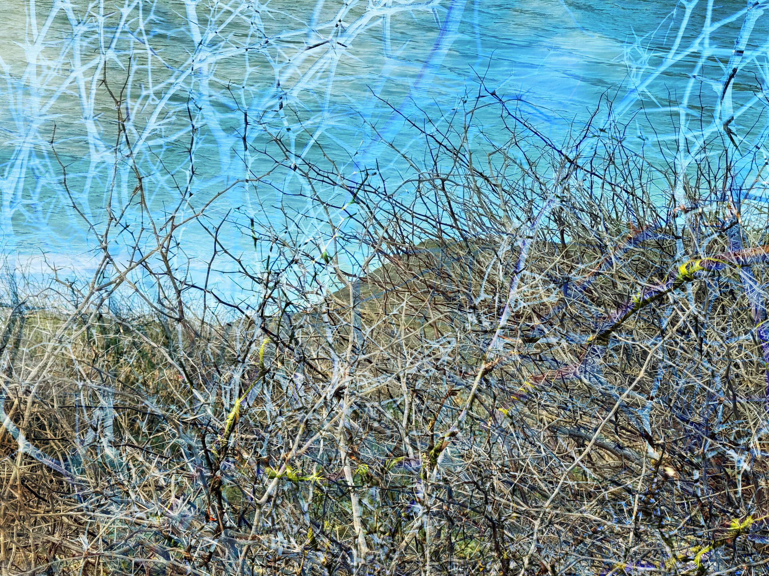 Tapestry-1-2.jpg