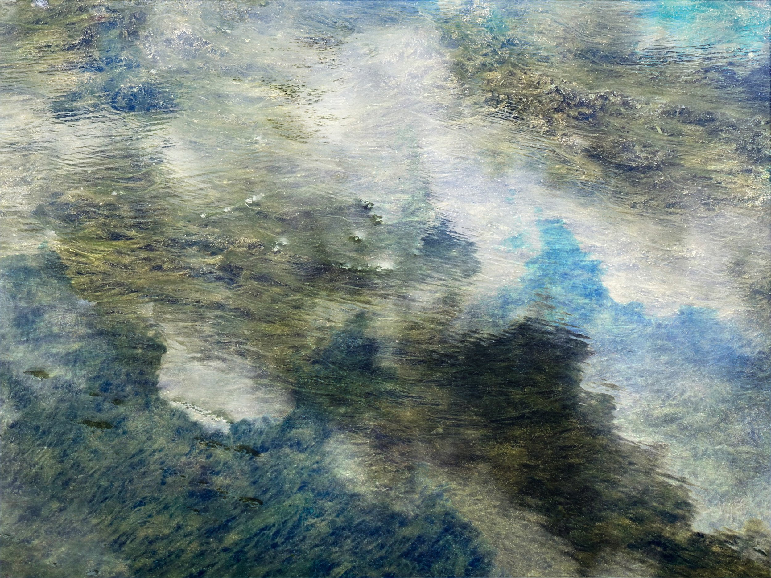 naturescapes-2.jpg