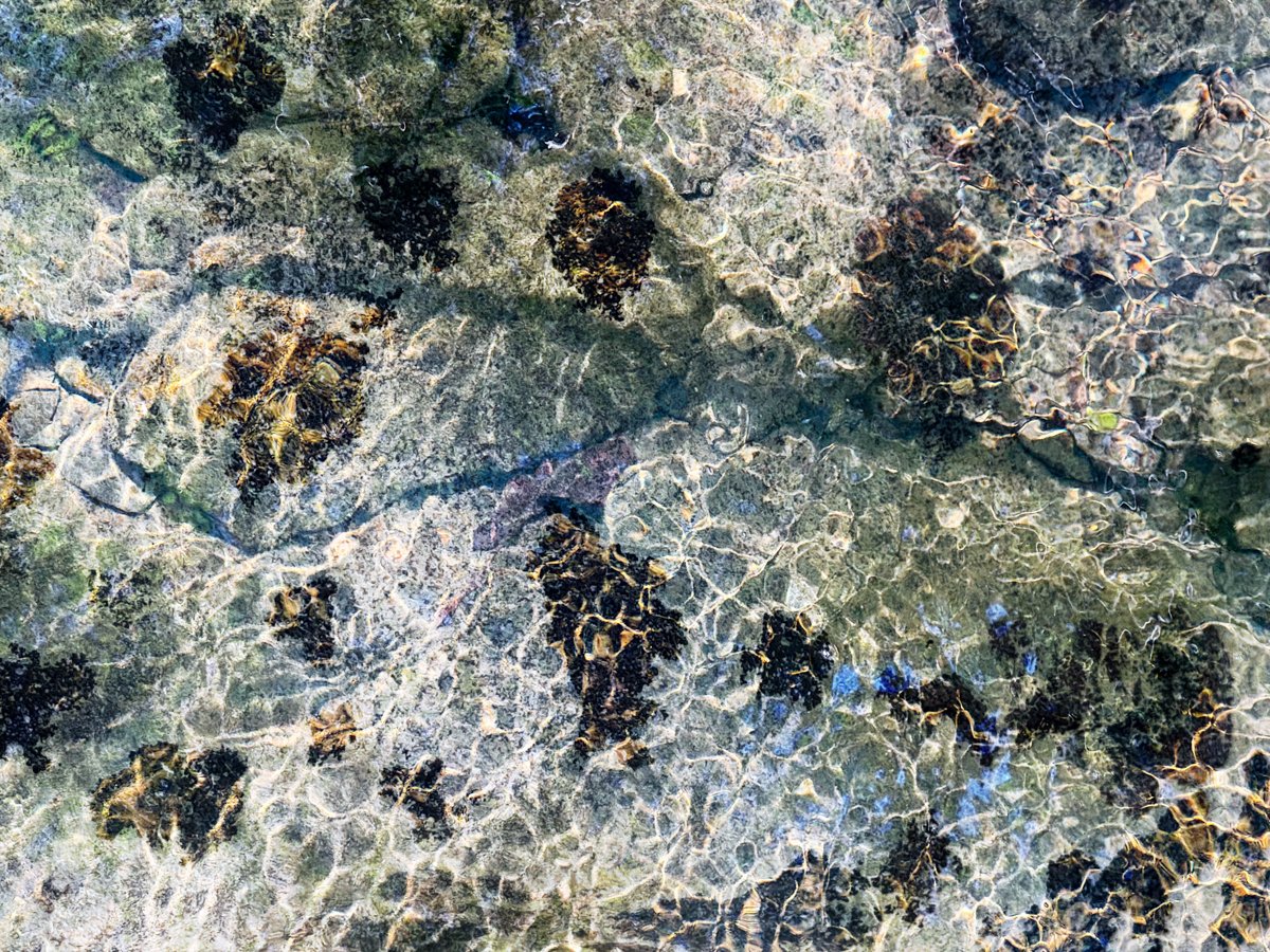 Abstract-1.jpg