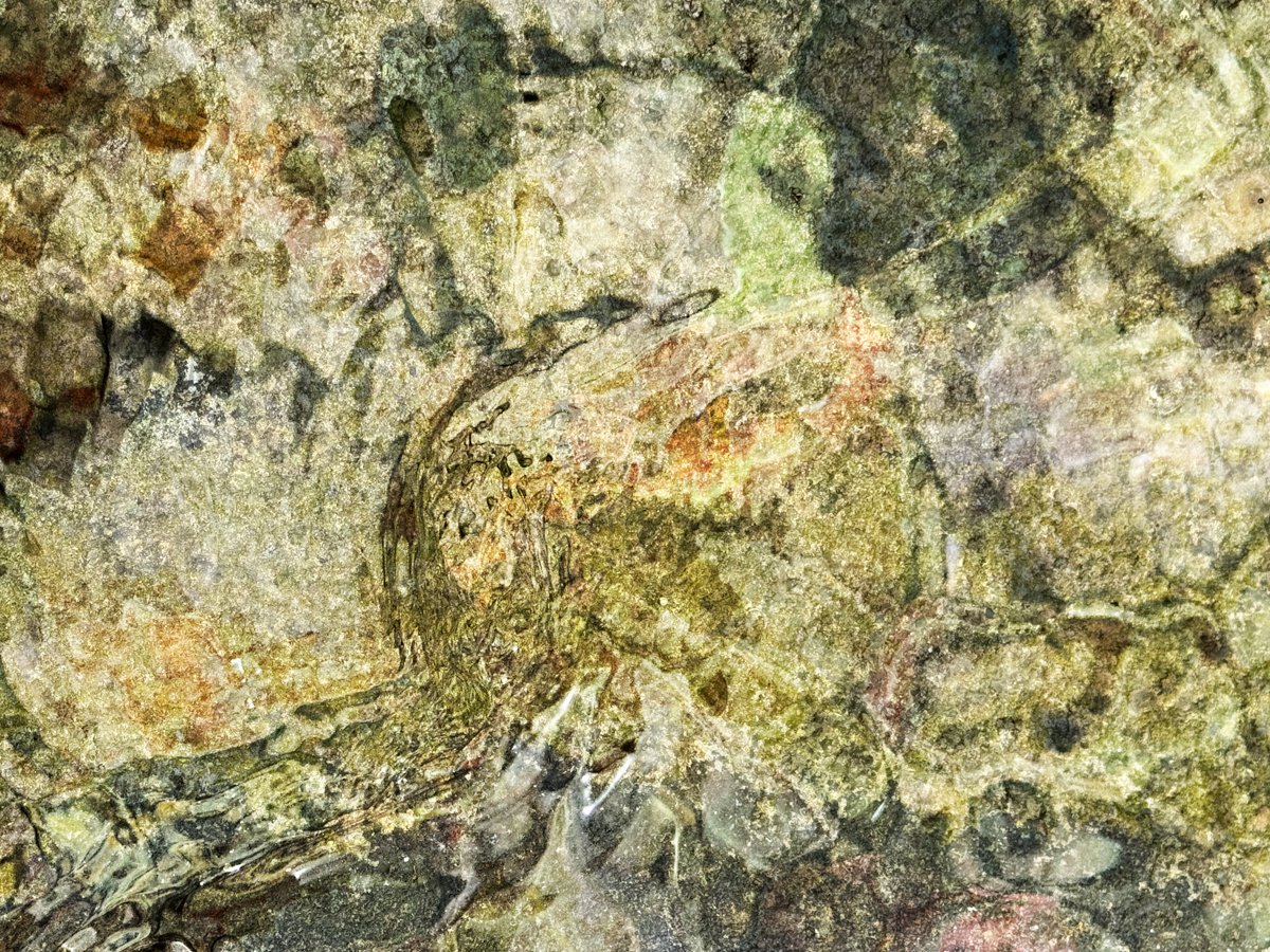 Abstract-13.jpg