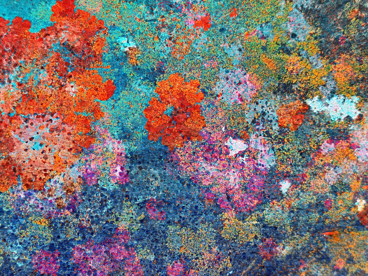 Abstract-11.jpg