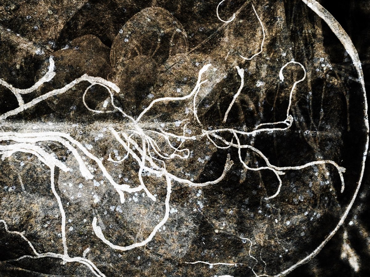 Abstract-15.jpg