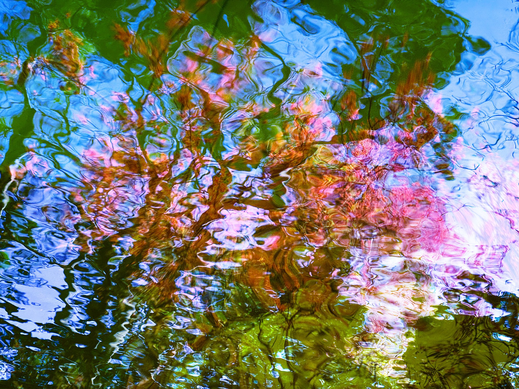 nature-1.jpg