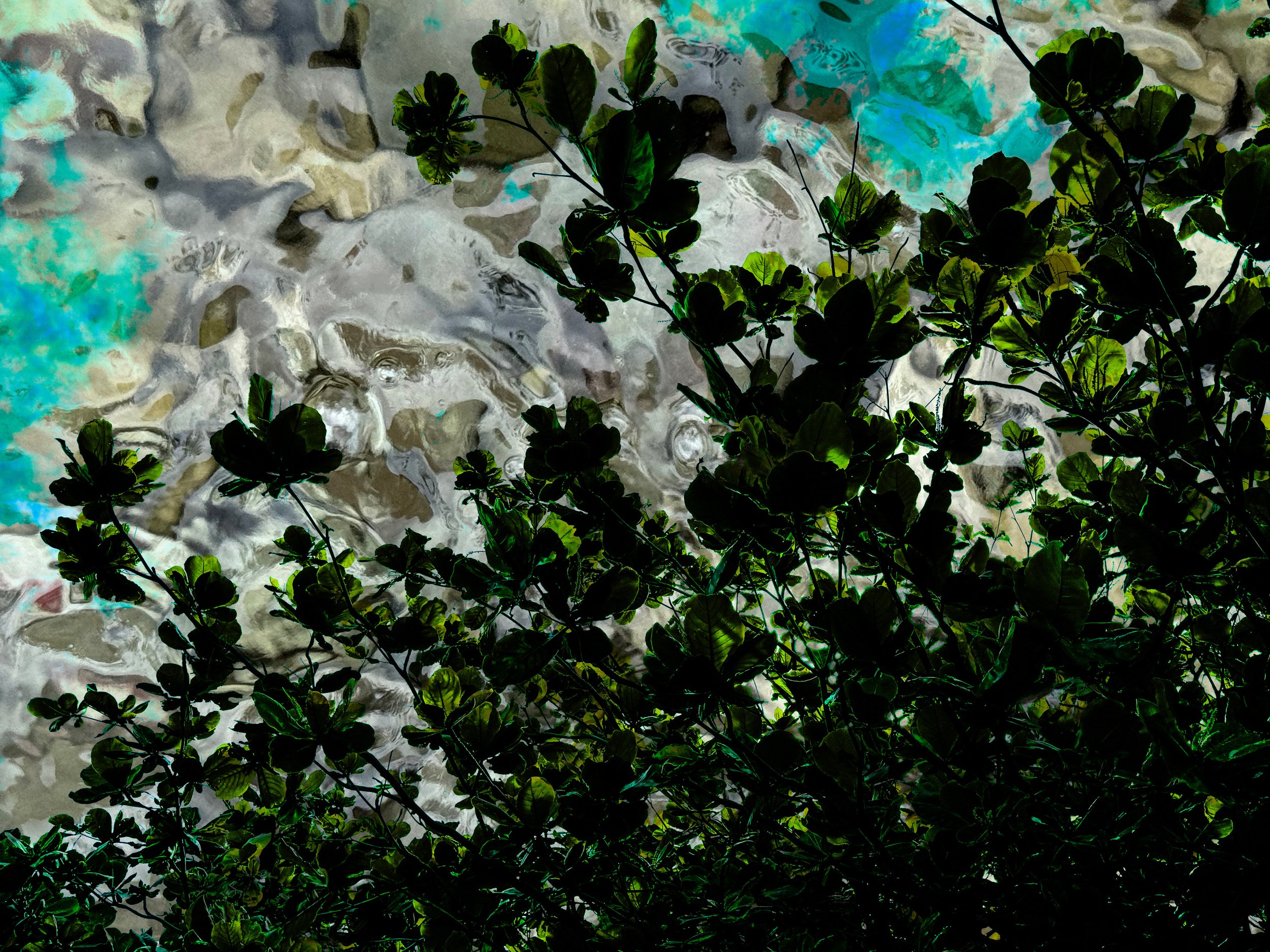 abstract-2.jpg