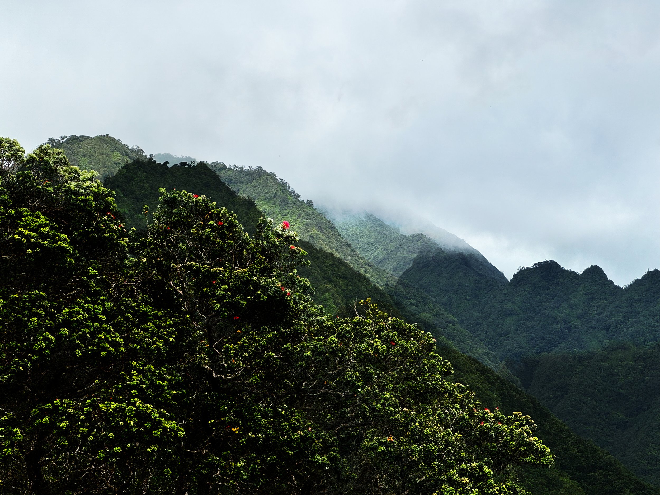 Lanihuli-1.jpg