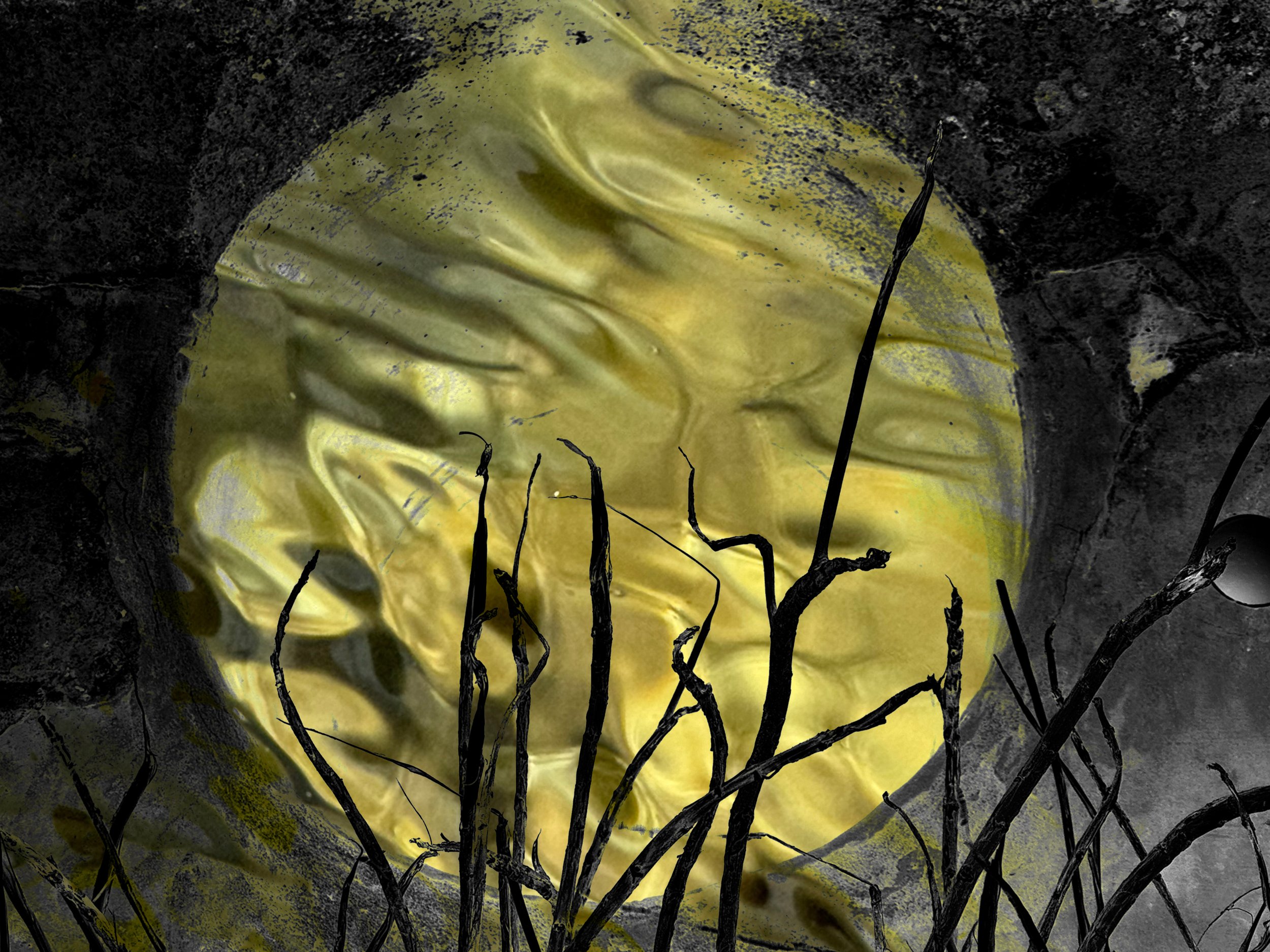 LowTideKokee-1.jpg