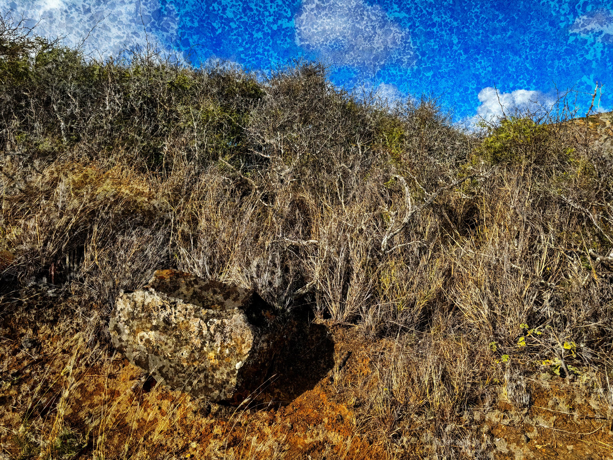 Landscape-2.jpg