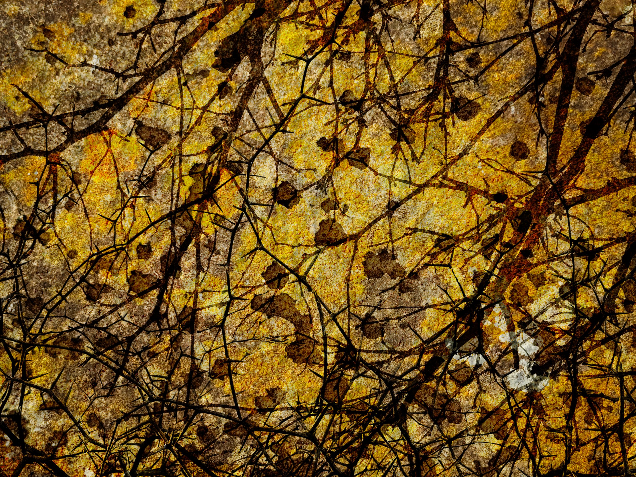 Abstracts-2.jpg
