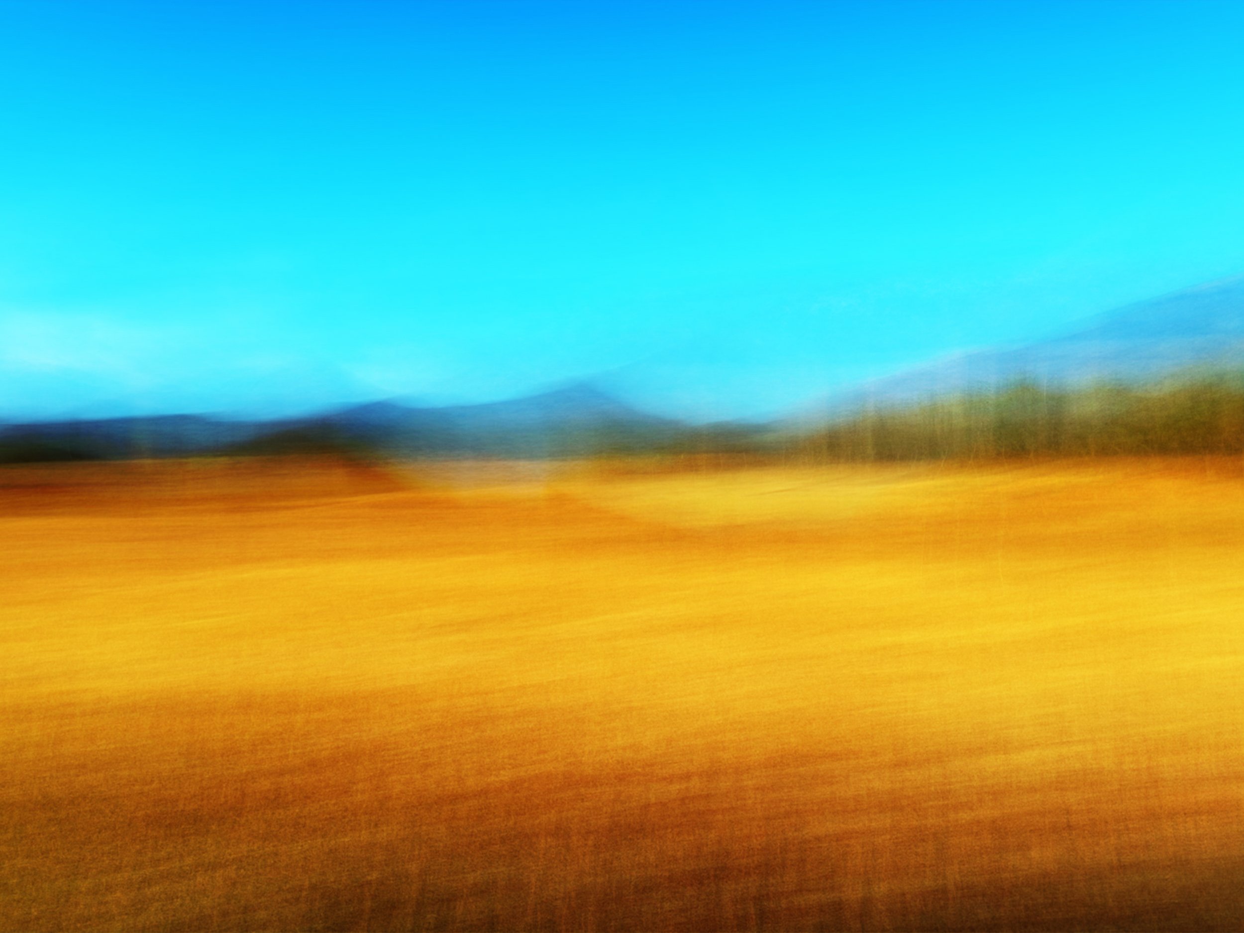 LandscapeDiamondHead10.24-1.jpg