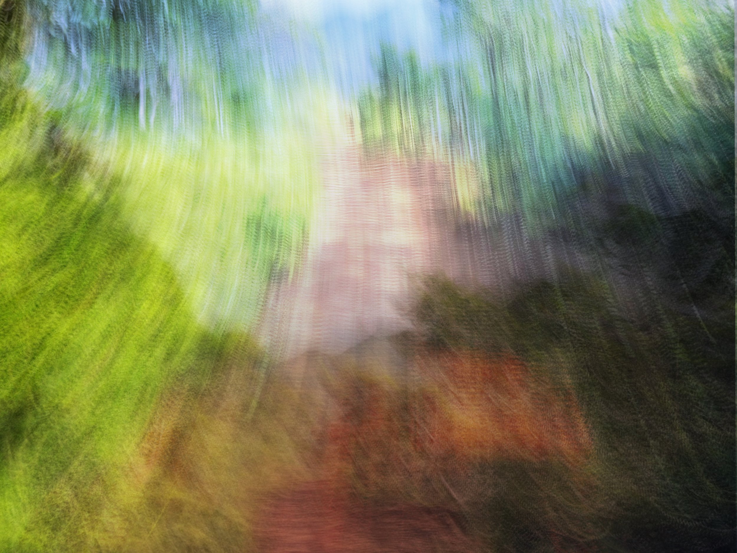 AbstractionWiliwili10.24-1.jpg