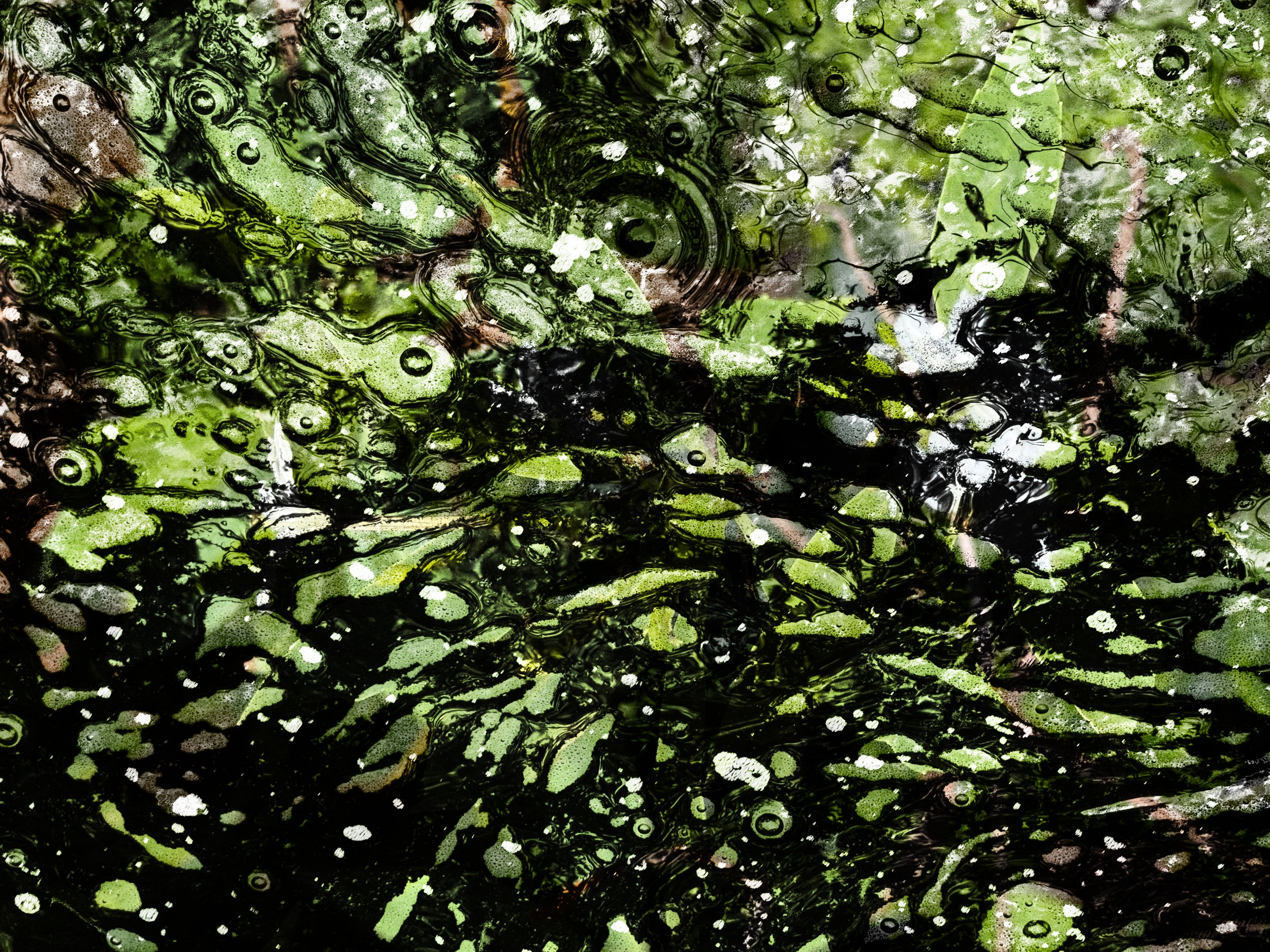 AbstractKaau9.24-1.jpg
