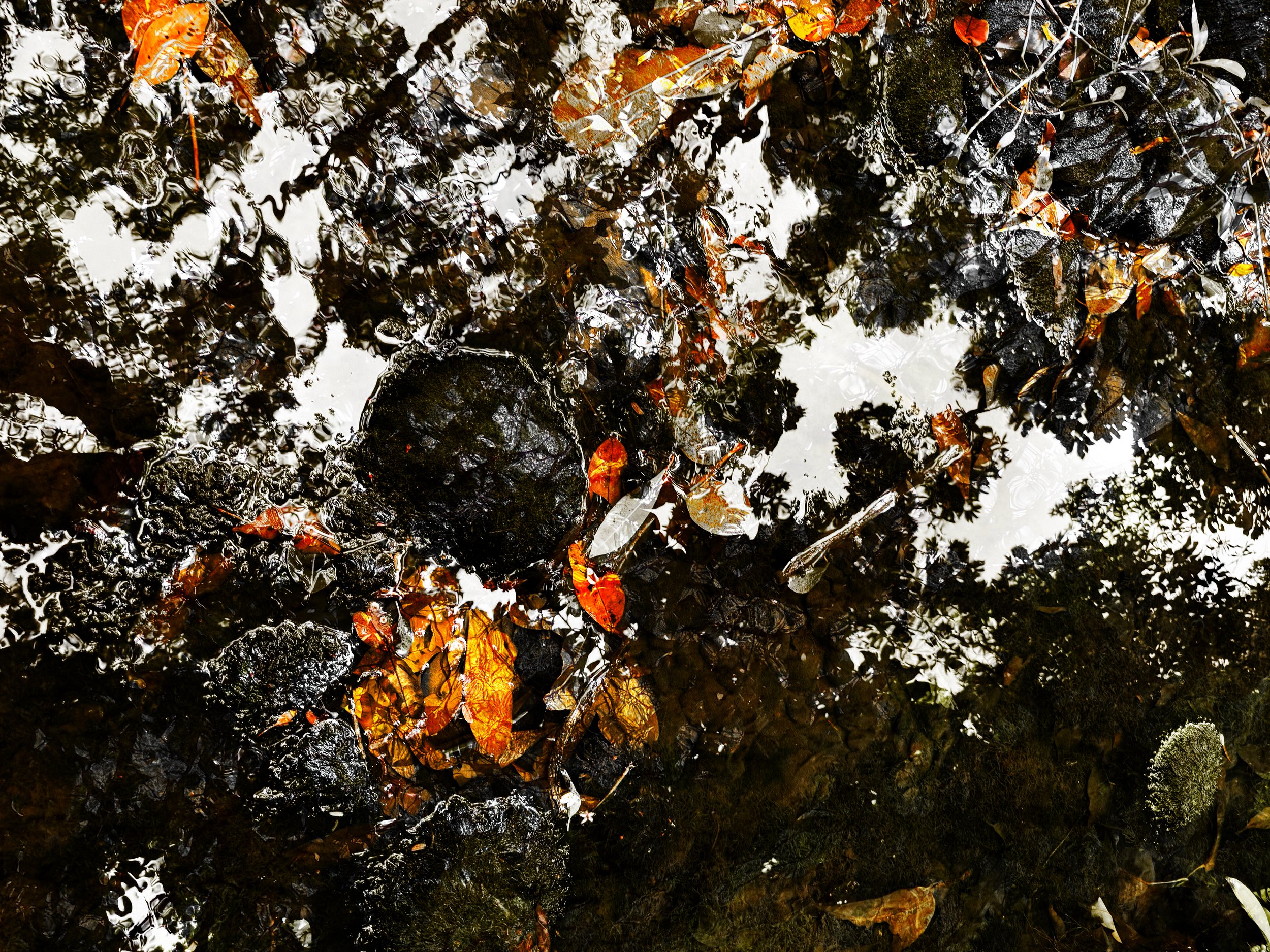 AbstractKahana9.24-1.jpg