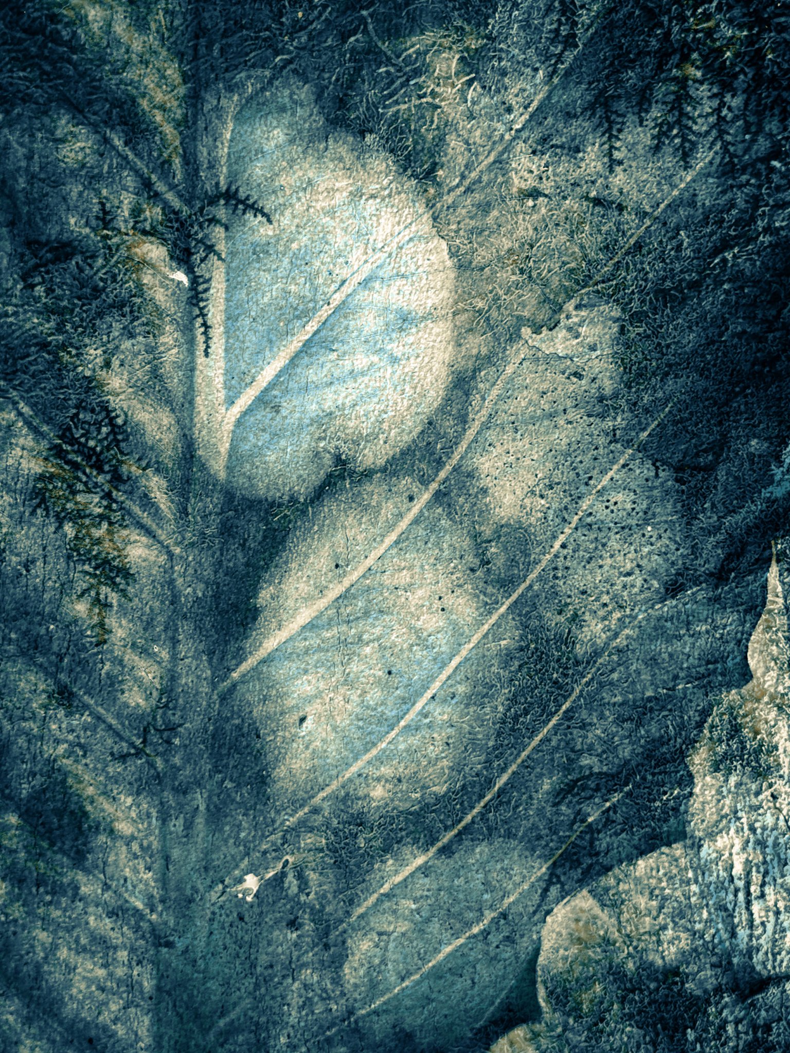 BotanicalLyon9.24-2.jpg