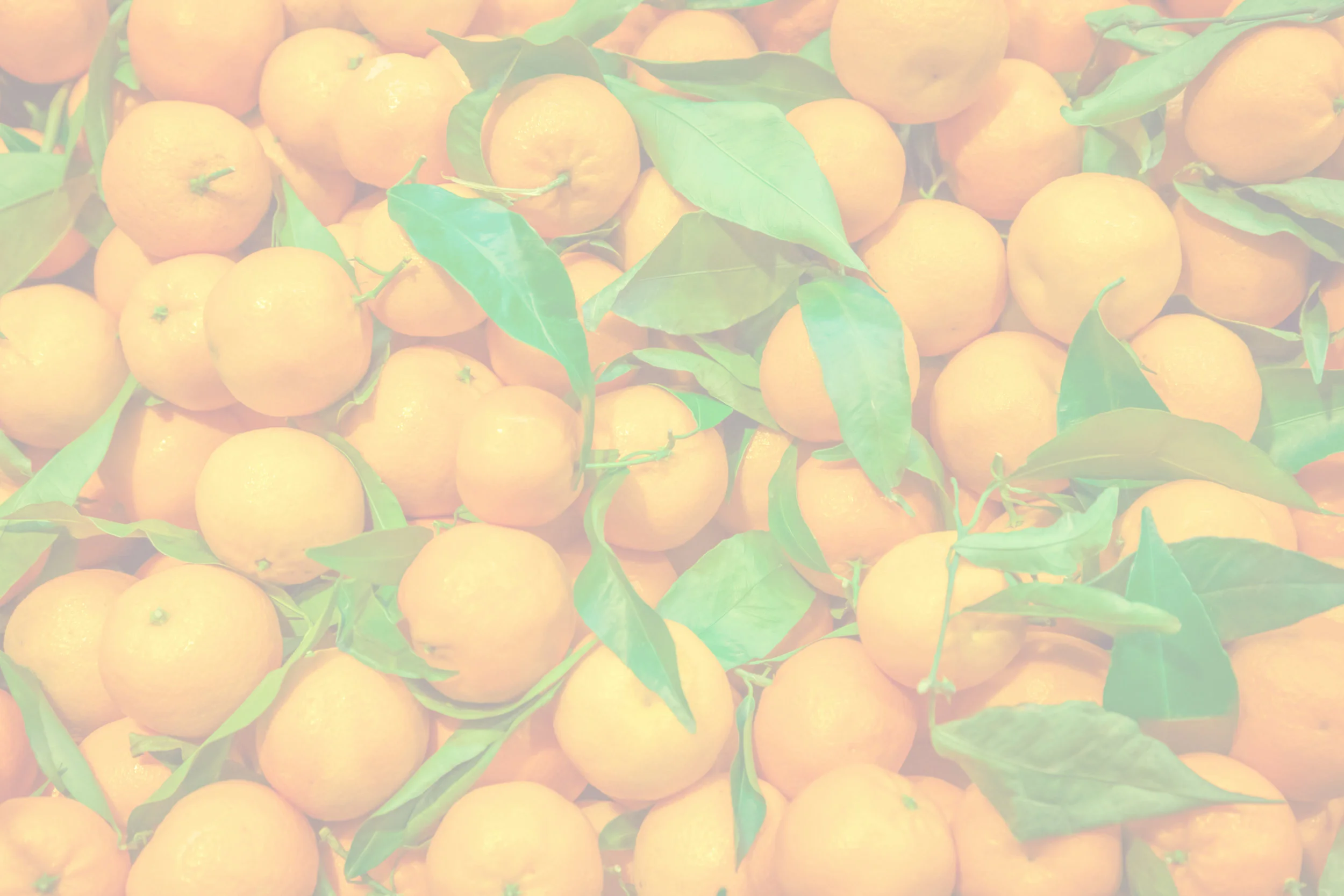 faded_shutterstock_366919274.jpg