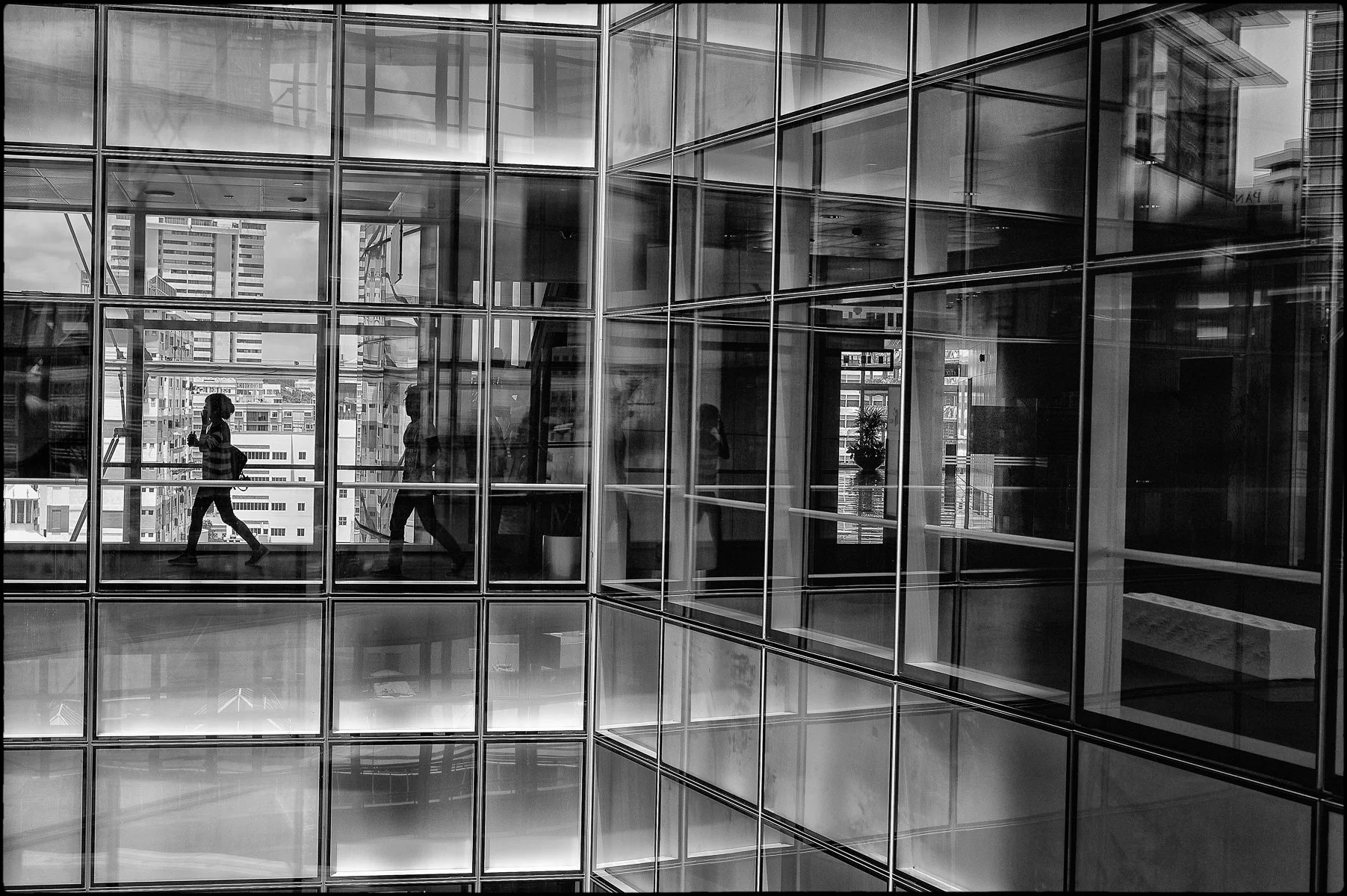 Glassy.jpg