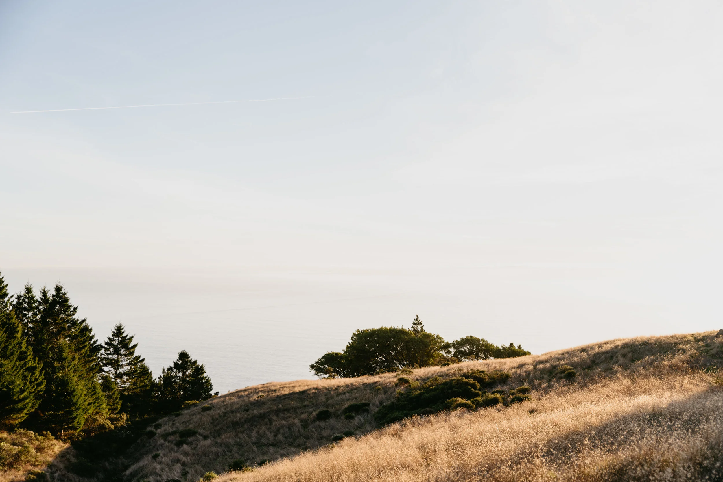 mounttam-36.jpg
