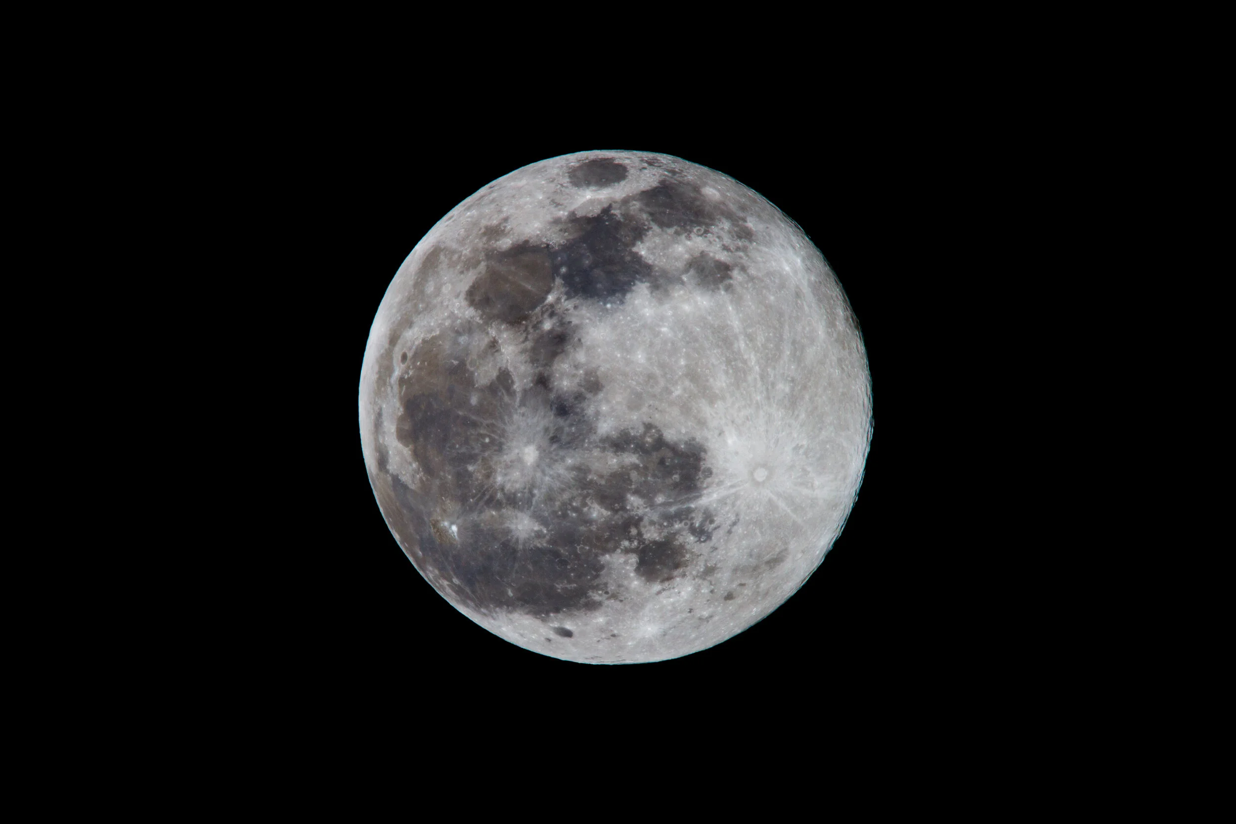 _MG_0832.jpg
