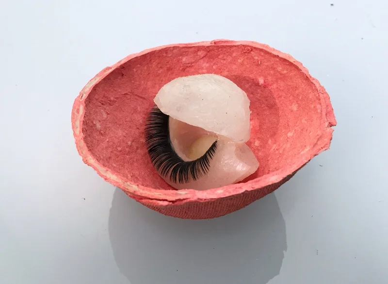Flip Eye, 2015 4.5 x 4.5 x 2 inches Paper clay, dye, silicone and synthetic eyelashes