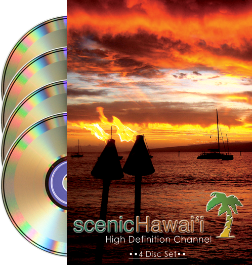 maui sh dvd.jpg